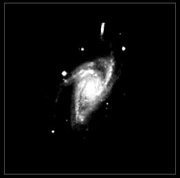 NGC 5051.JPG