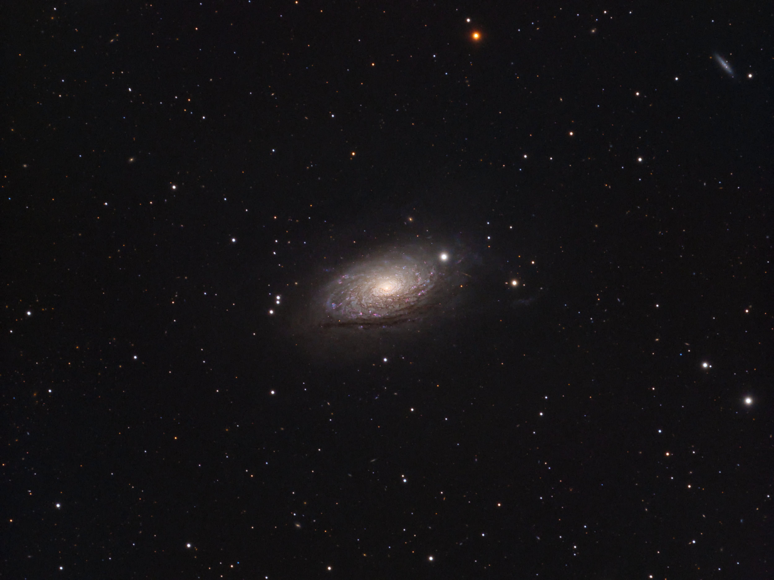 M063_Sunflower_Galaxy.jpg