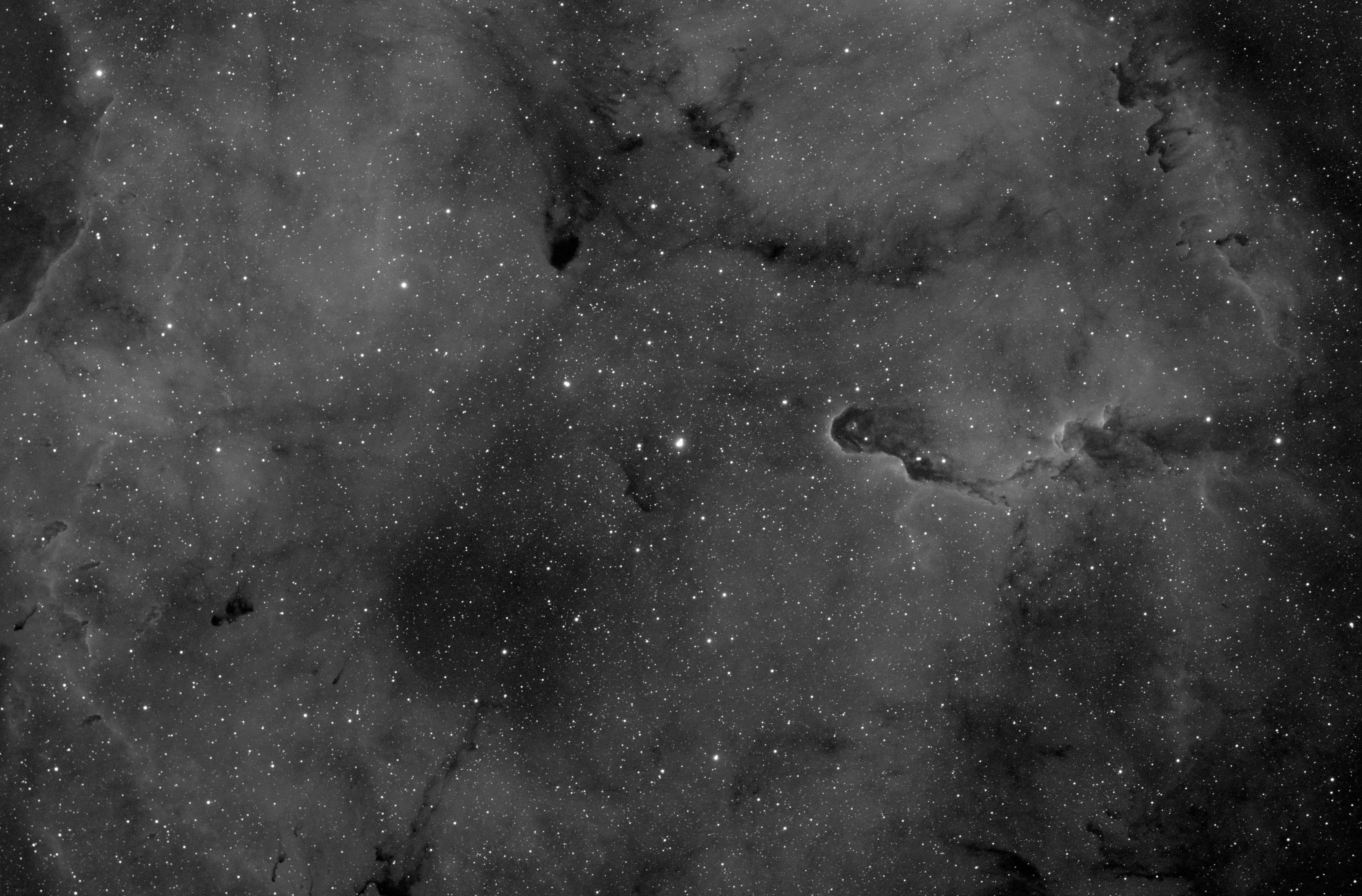 IC1396, 2023-08-02, 39x300L, H-alpha 7nm, APO100Q.jpg