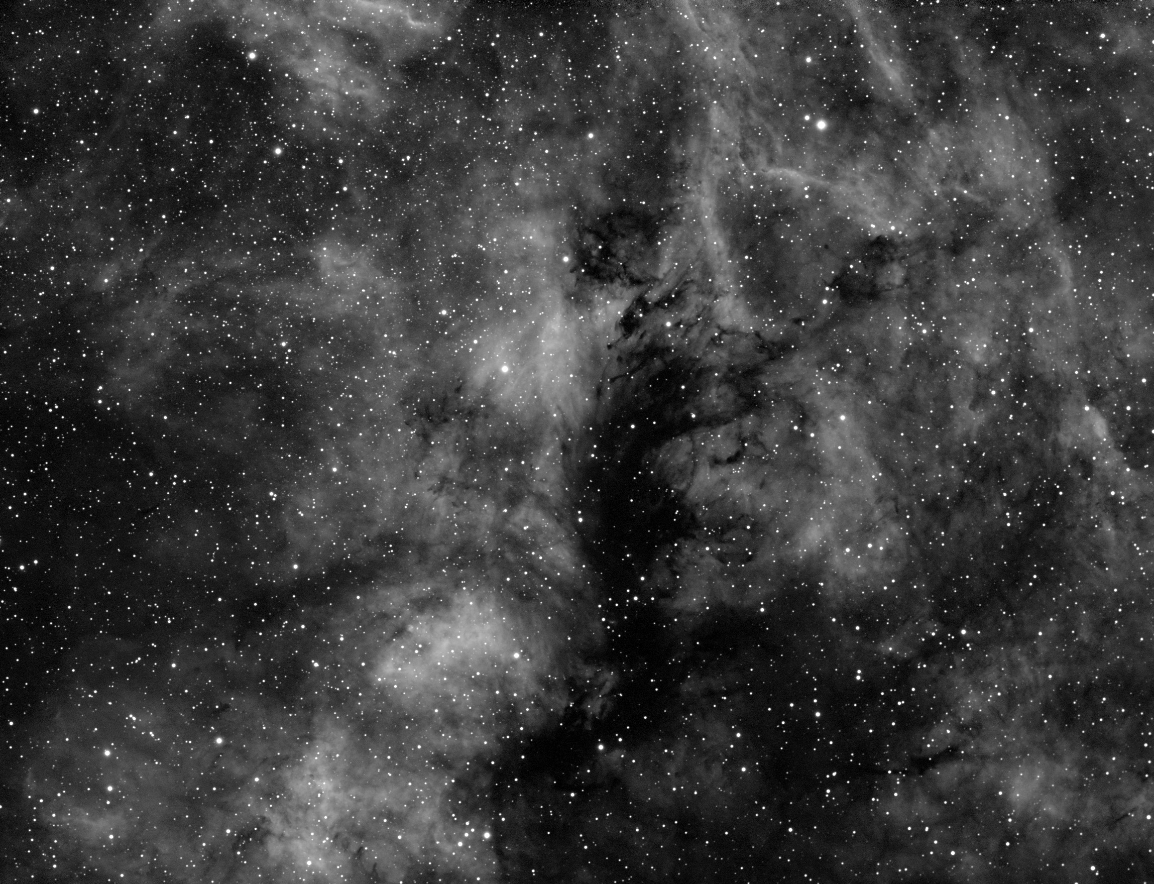 NGC6914, 2018-2019, 133x200sec, APO100Q, H-alpha 7nm, ASI1600MM-Cool 90prec compressed.jpg