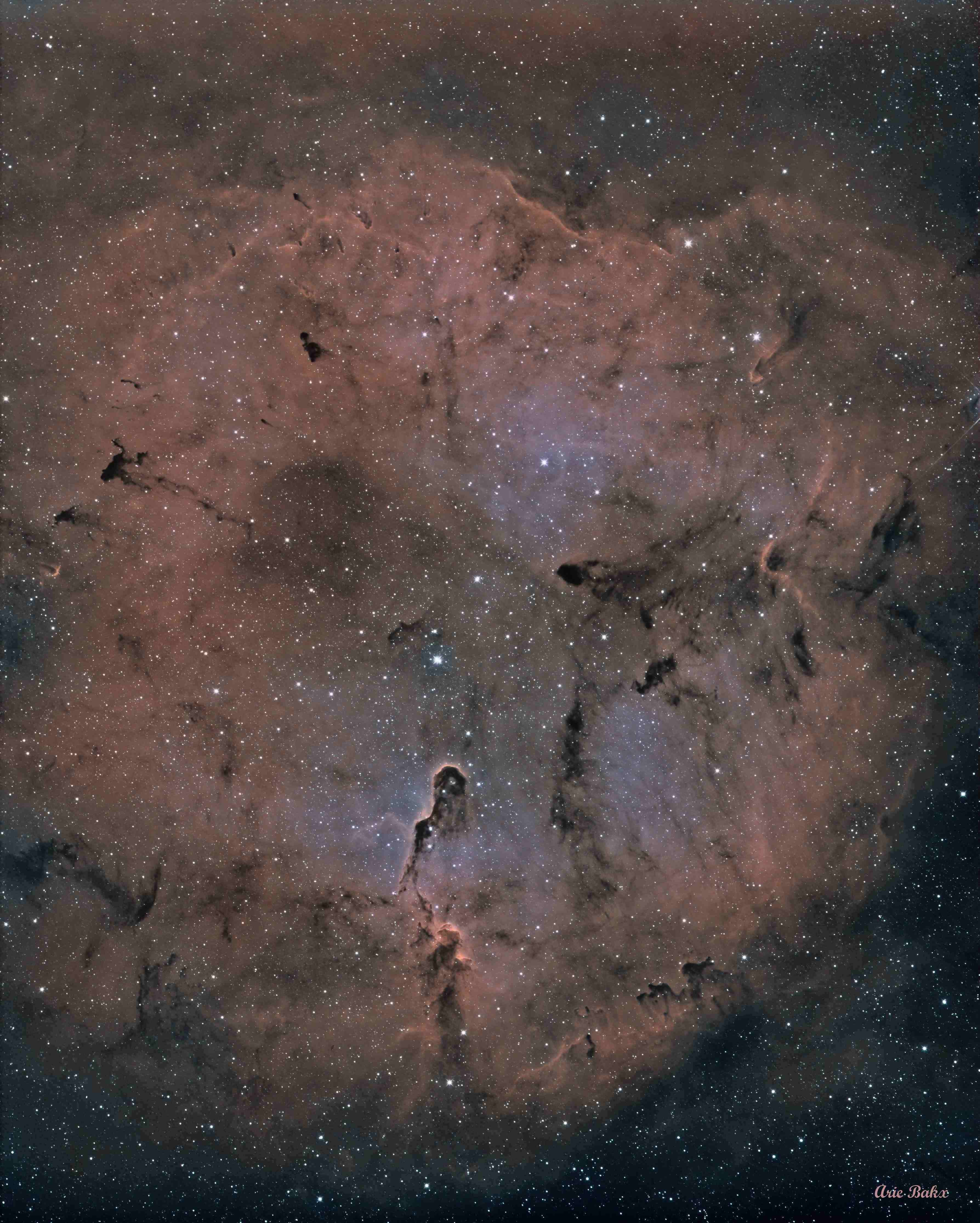 IC1396_BiColor-V1-CN.jpg