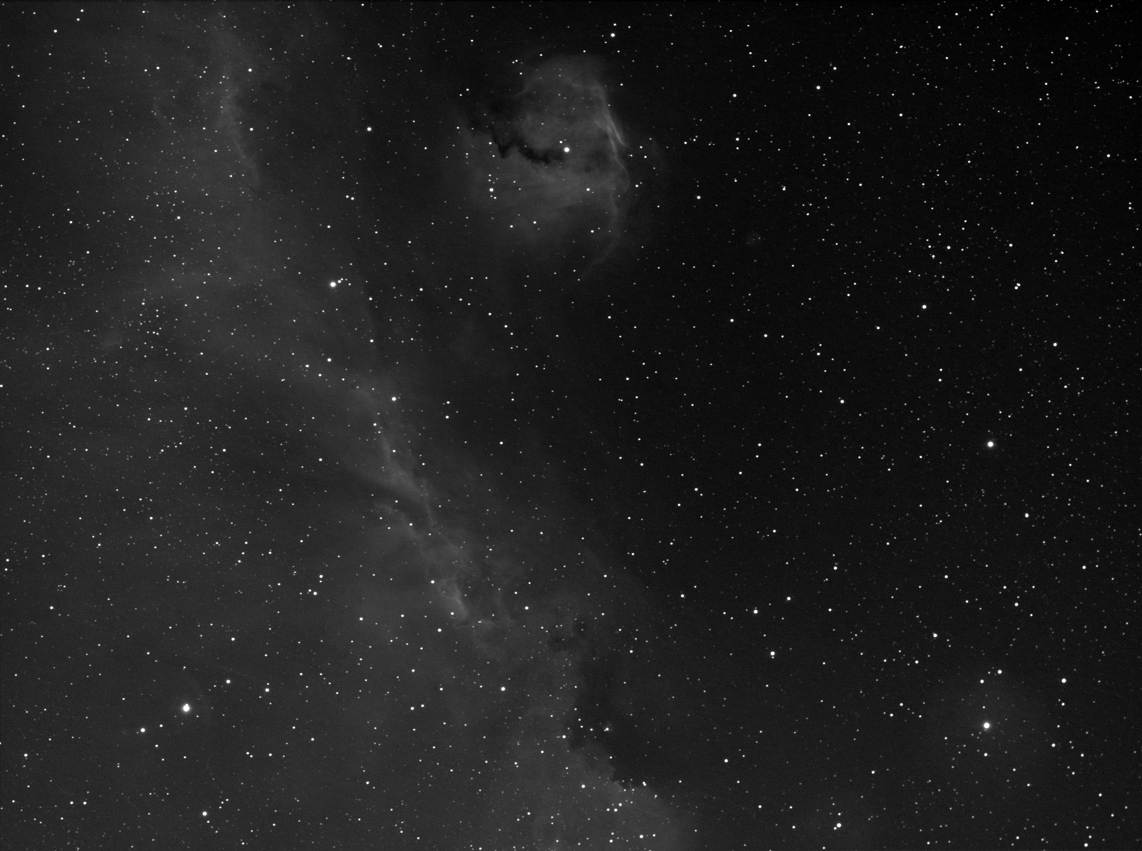 IC2177, Sh2-296, Seagull, 2019-3-18, 48x200sec,  APO100Q, H-alpha 7nm, ASI1600.jpg
