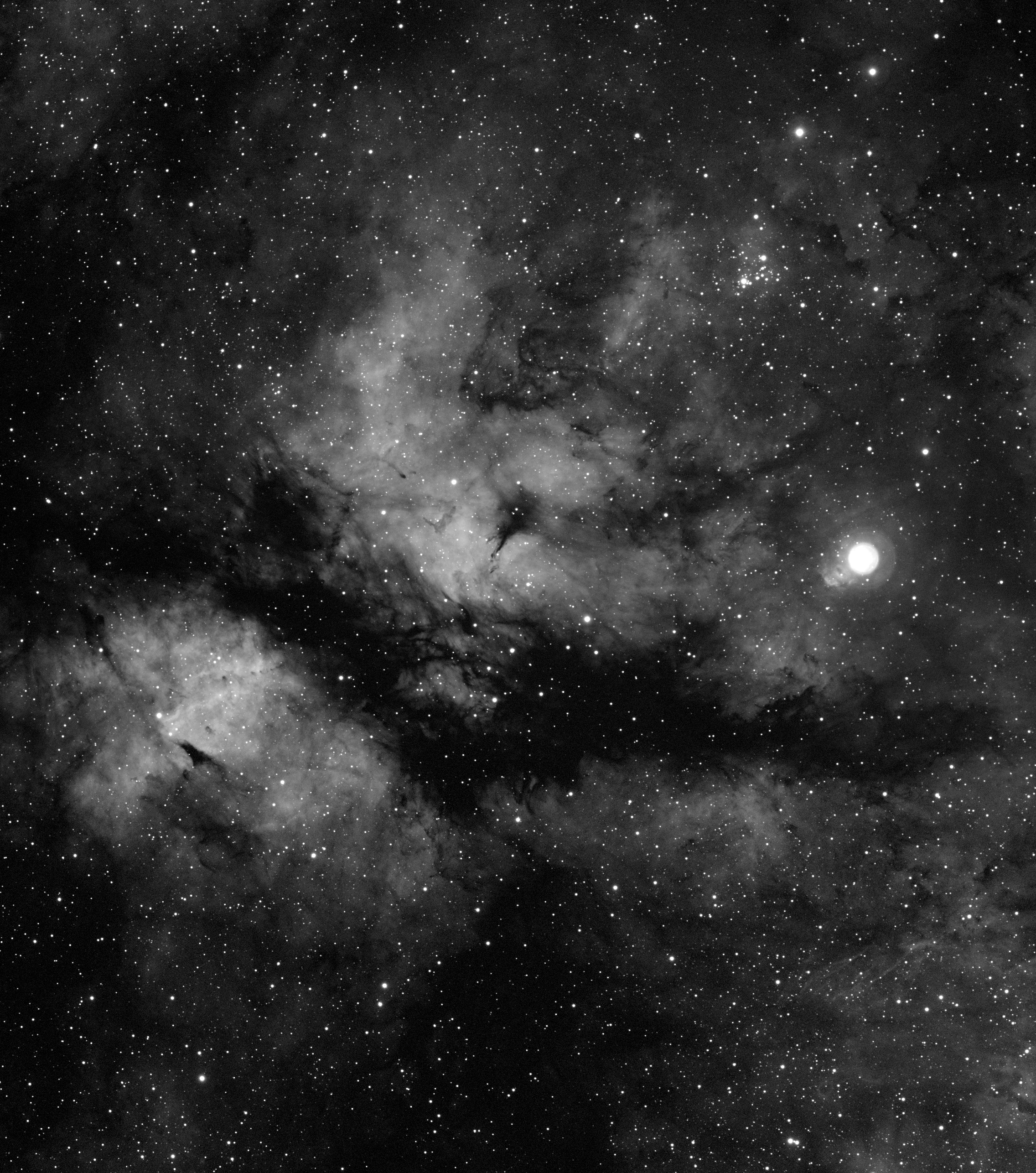 ic1318_2021-12-21_1.jpg