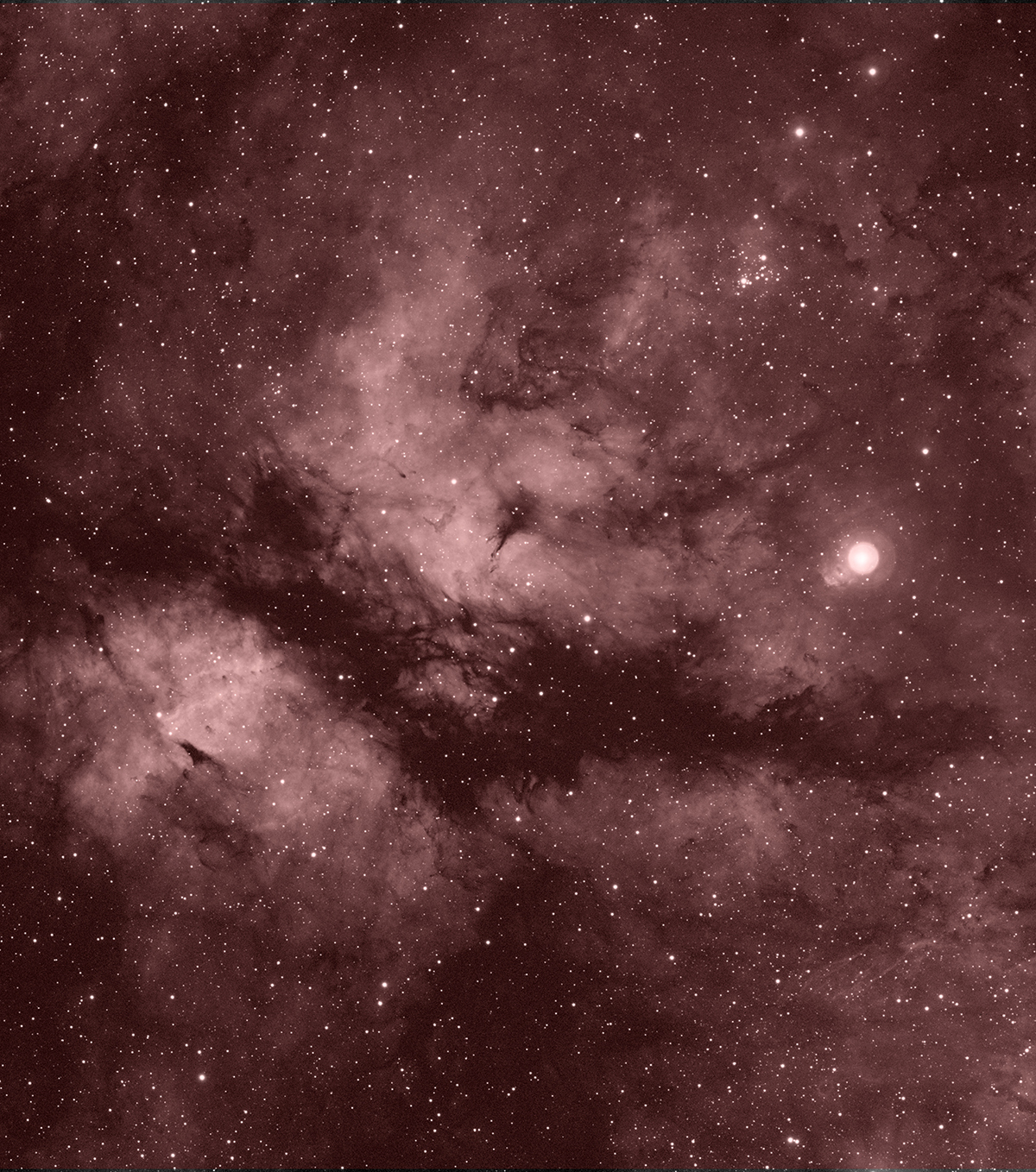 IC1318, 2021-12-21_gvdb.jpg