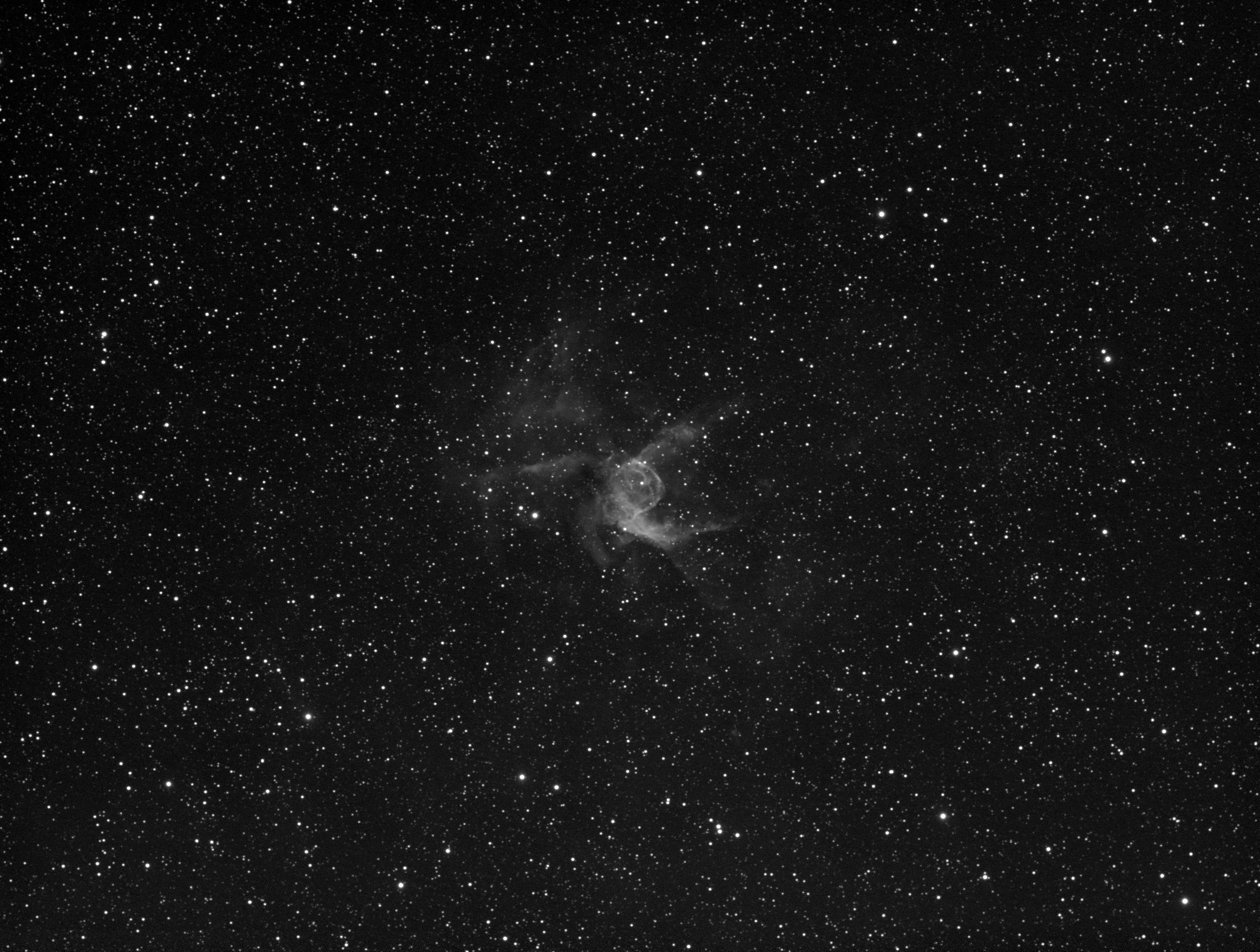 NGC2359_THOR, 2022-03-03, 73x200L, APO100Q, ASI1600MM-Cool.jpg