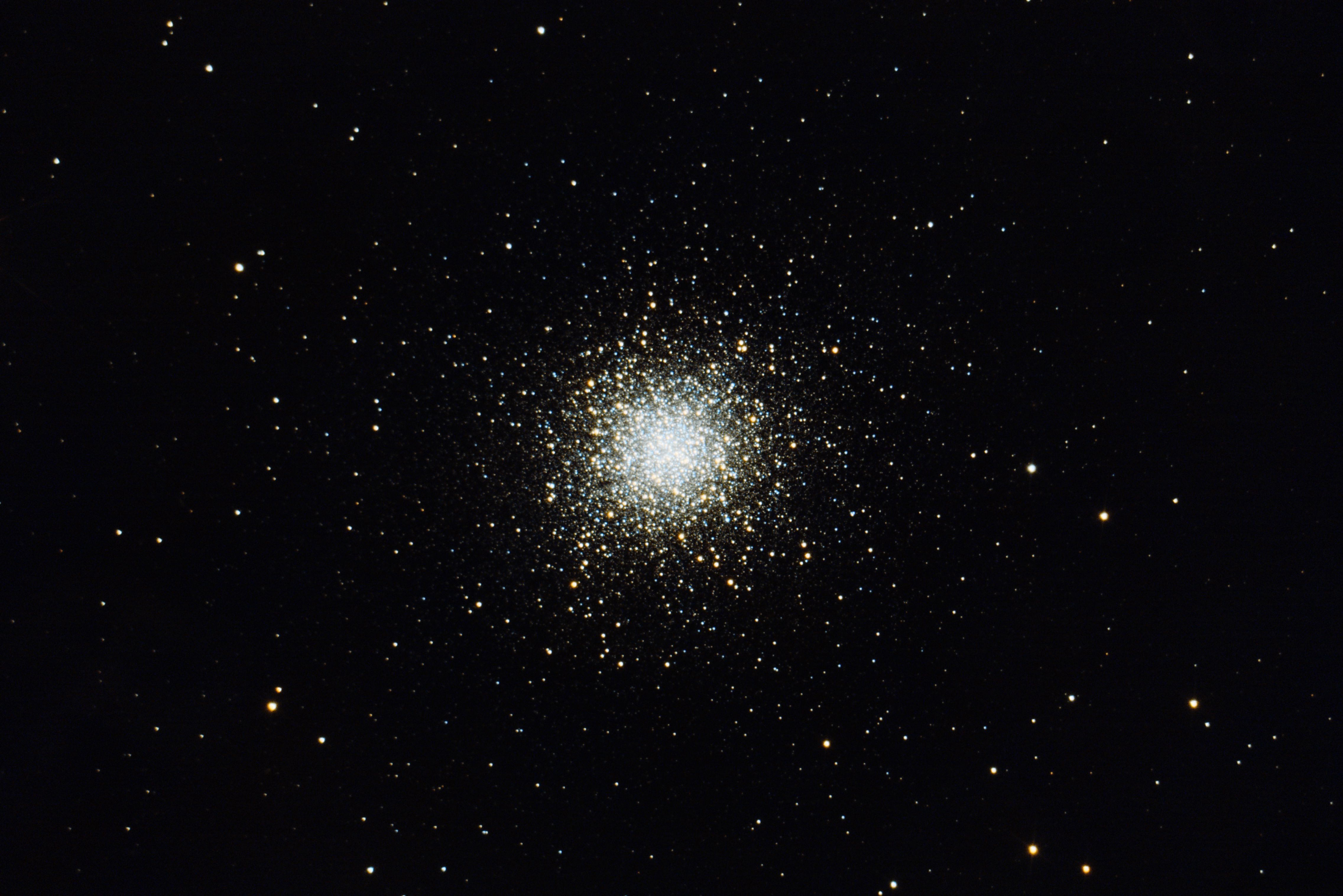 M13.jpg