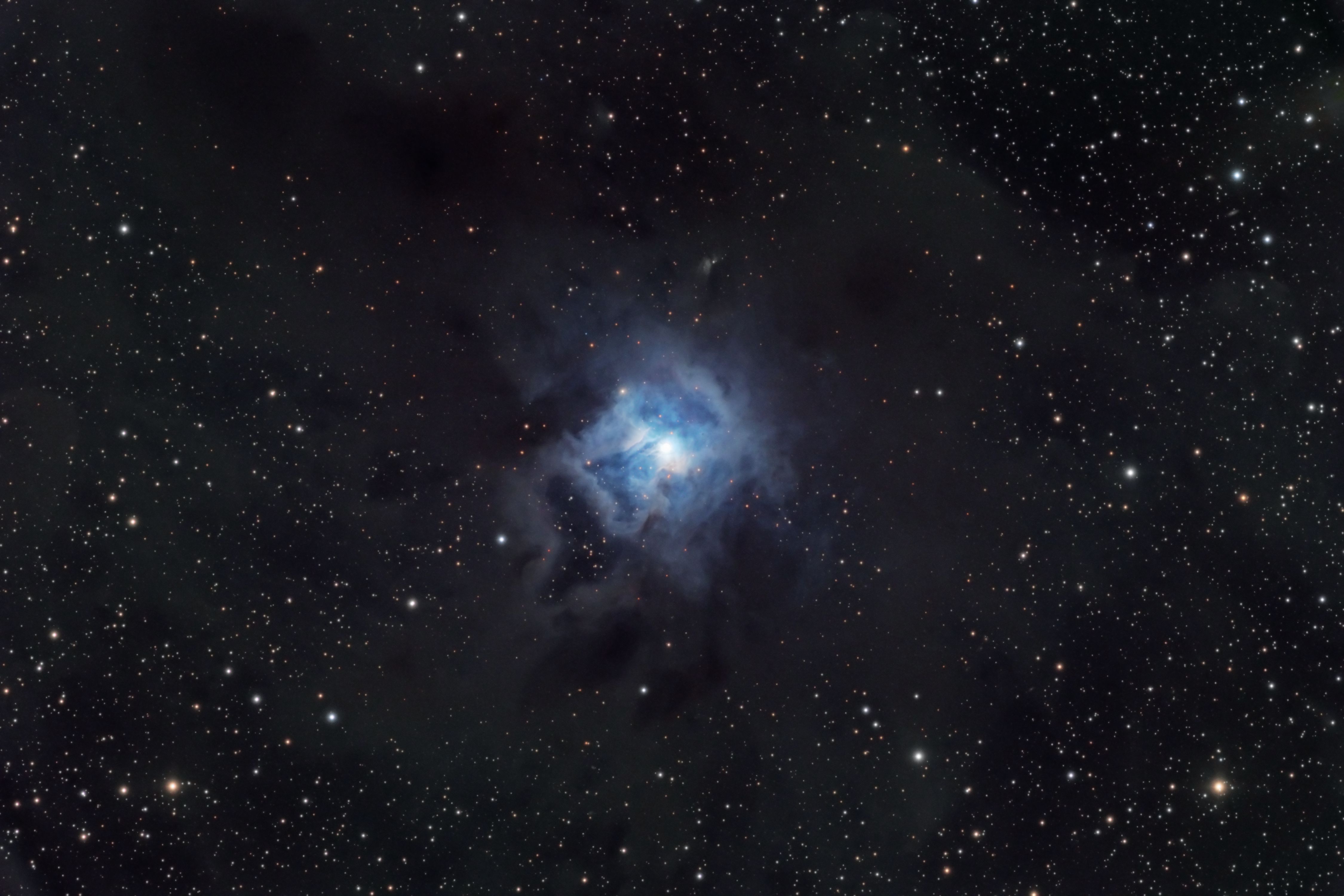 NGC7023.jpg