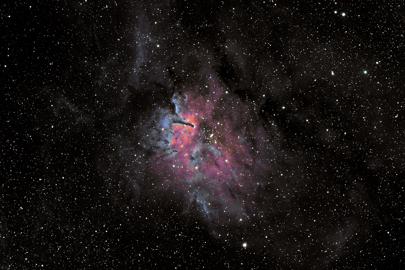 NGC6823_gvdb.jpg