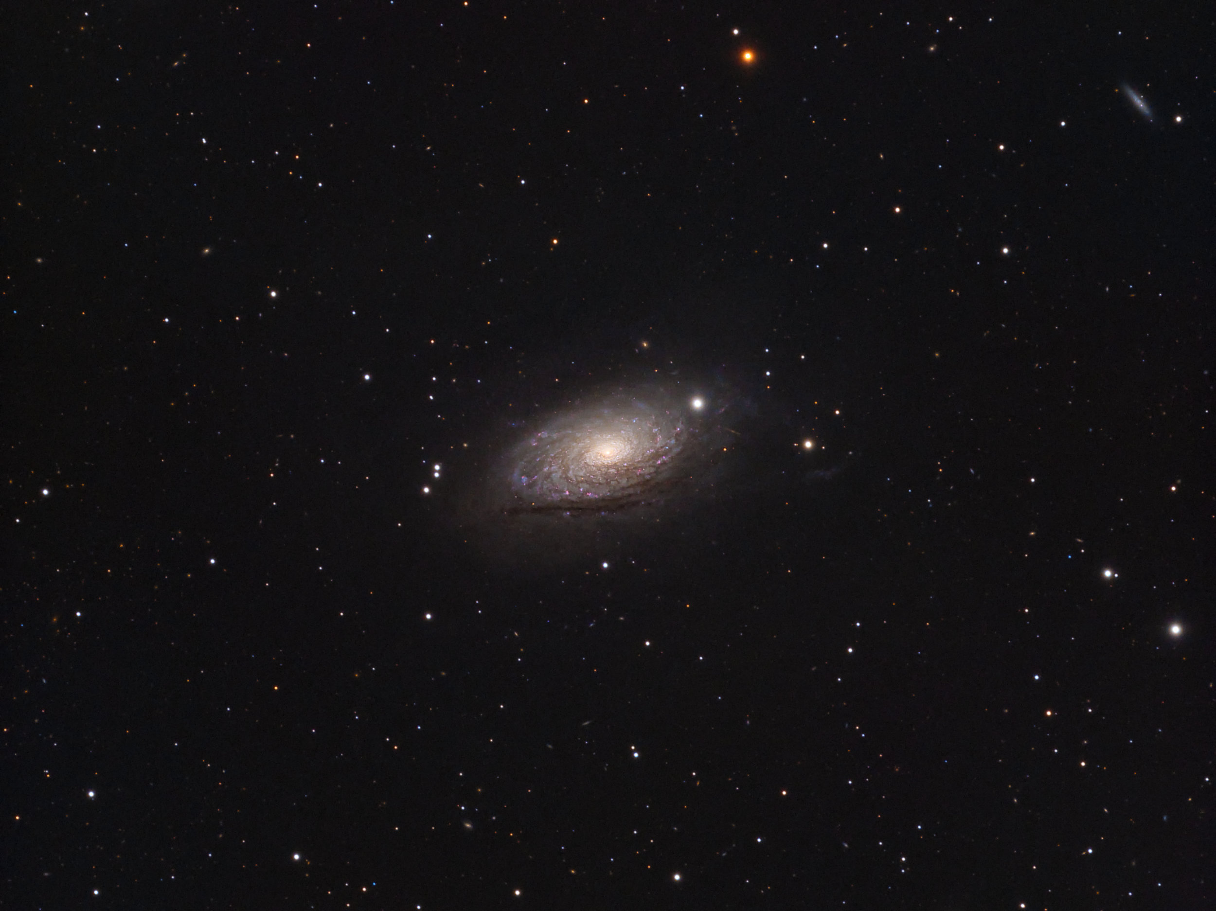 M063_Sunflower_Galaxy.jpg