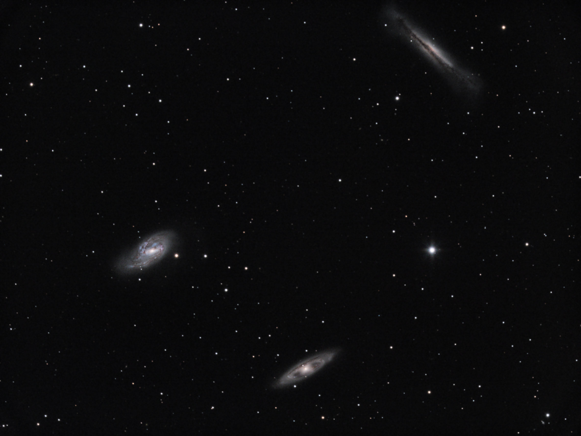 M65 Leo triplet 2000px.jpg