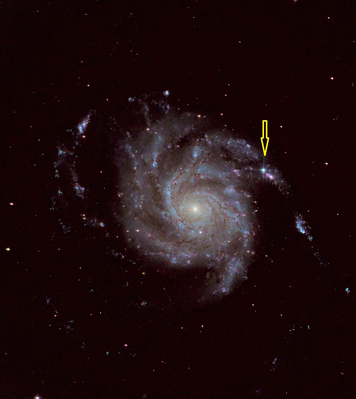 M101-supernova-arrow.jpg