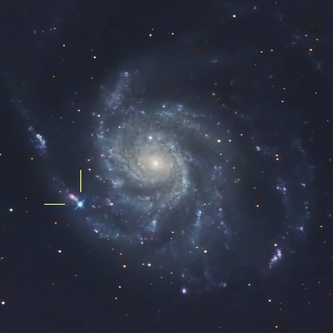 M101-SN2023xif_20230525_Valthe_OOCT10_ATIK383L_5L300s4RGB150sbin2_PI_PS_2.jpg