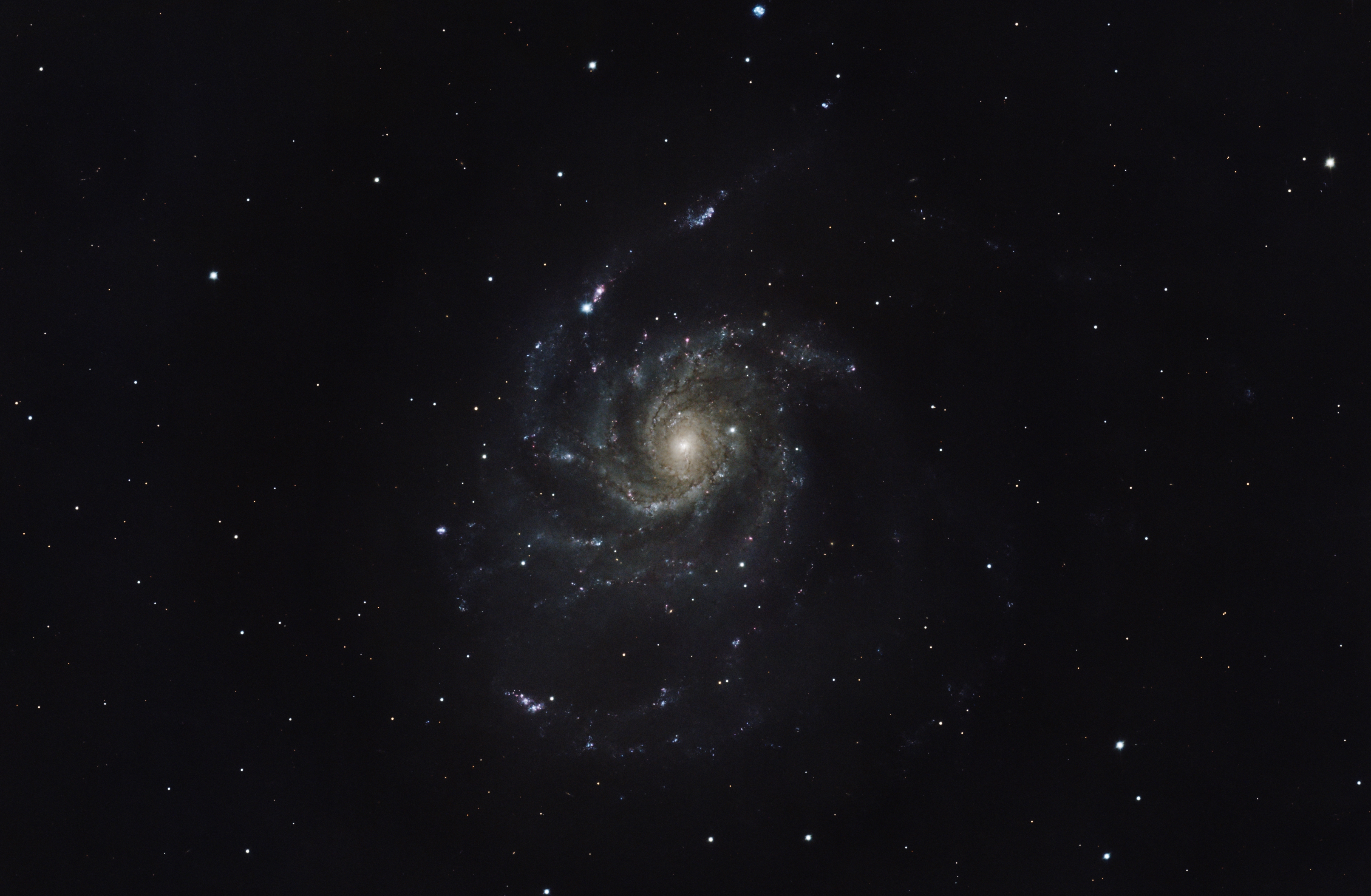 M101_SN2023ixf_small.jpg