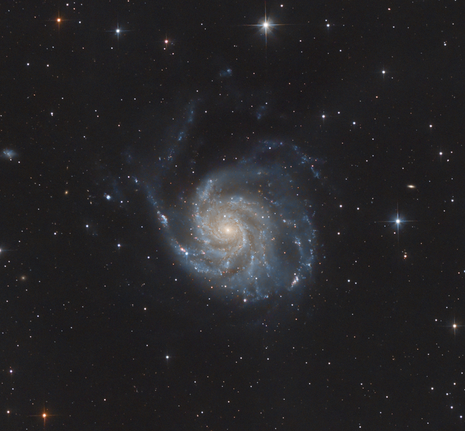 M101sn2023ixf_11hr33min_DBE_BxT_NxT_HistoTransX2_CurvSatX2_FullResCrop_SCNR.jpg