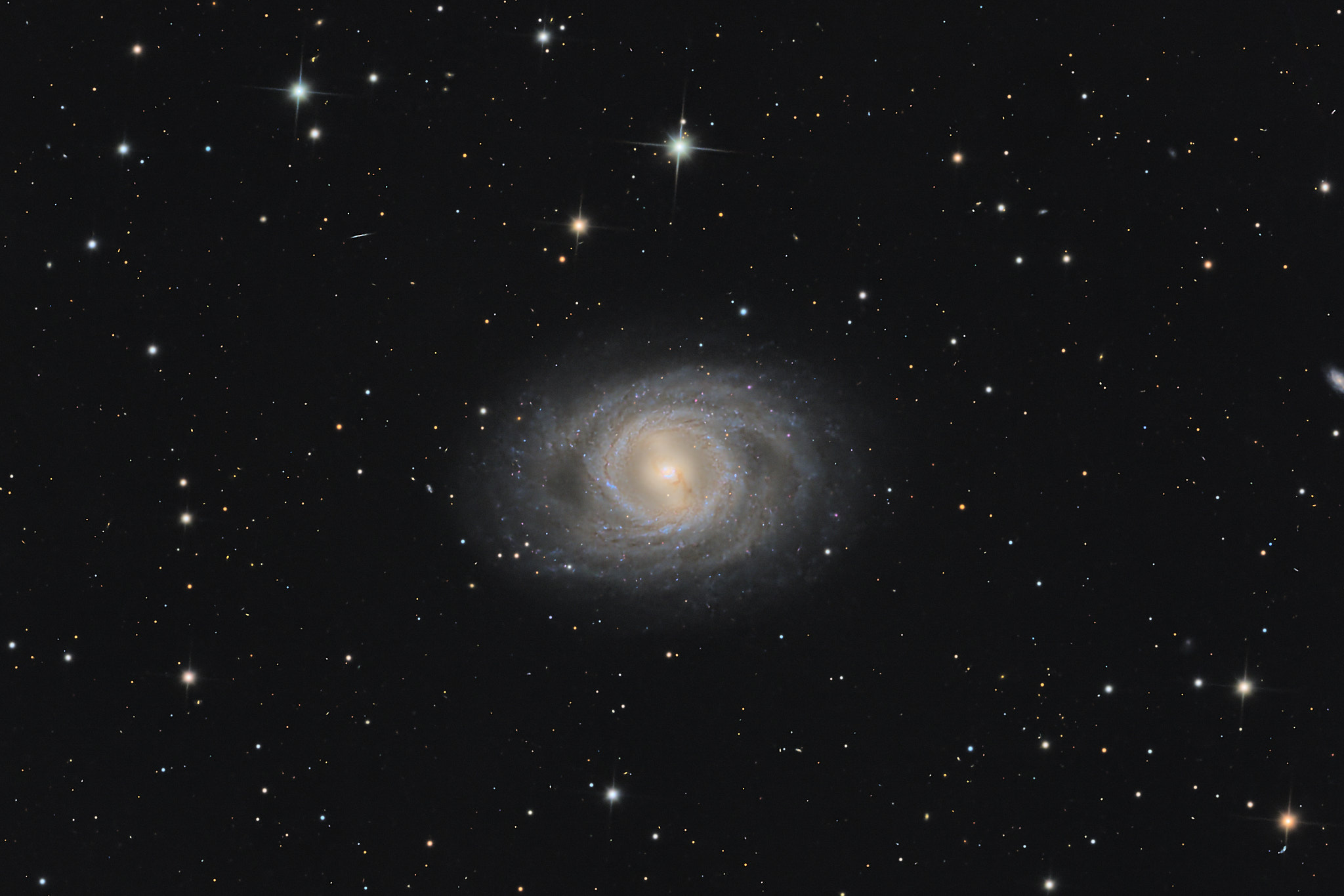 M95-crop_2048px.jpg