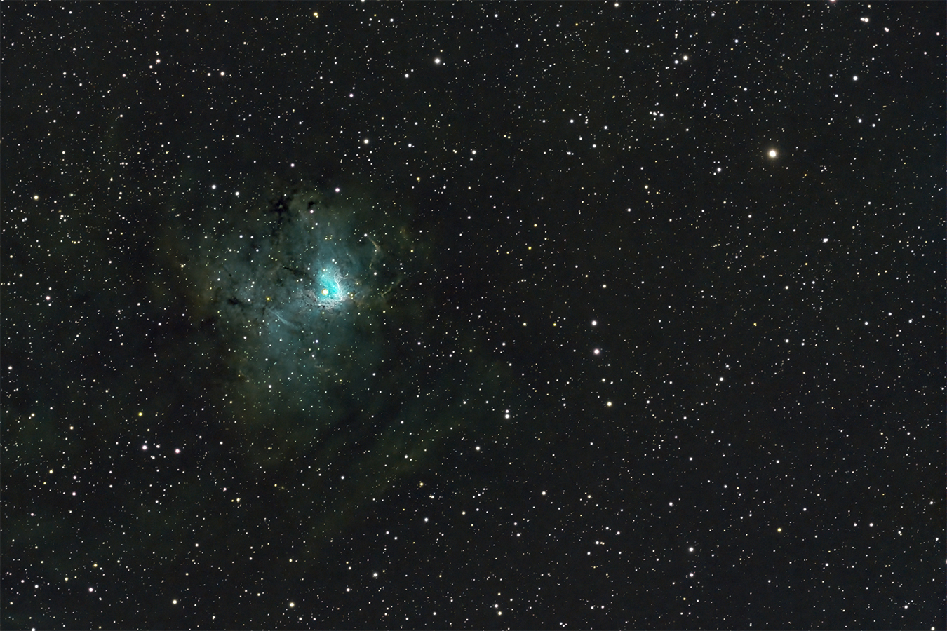 ngc1491_2024-01-09_1.jpg