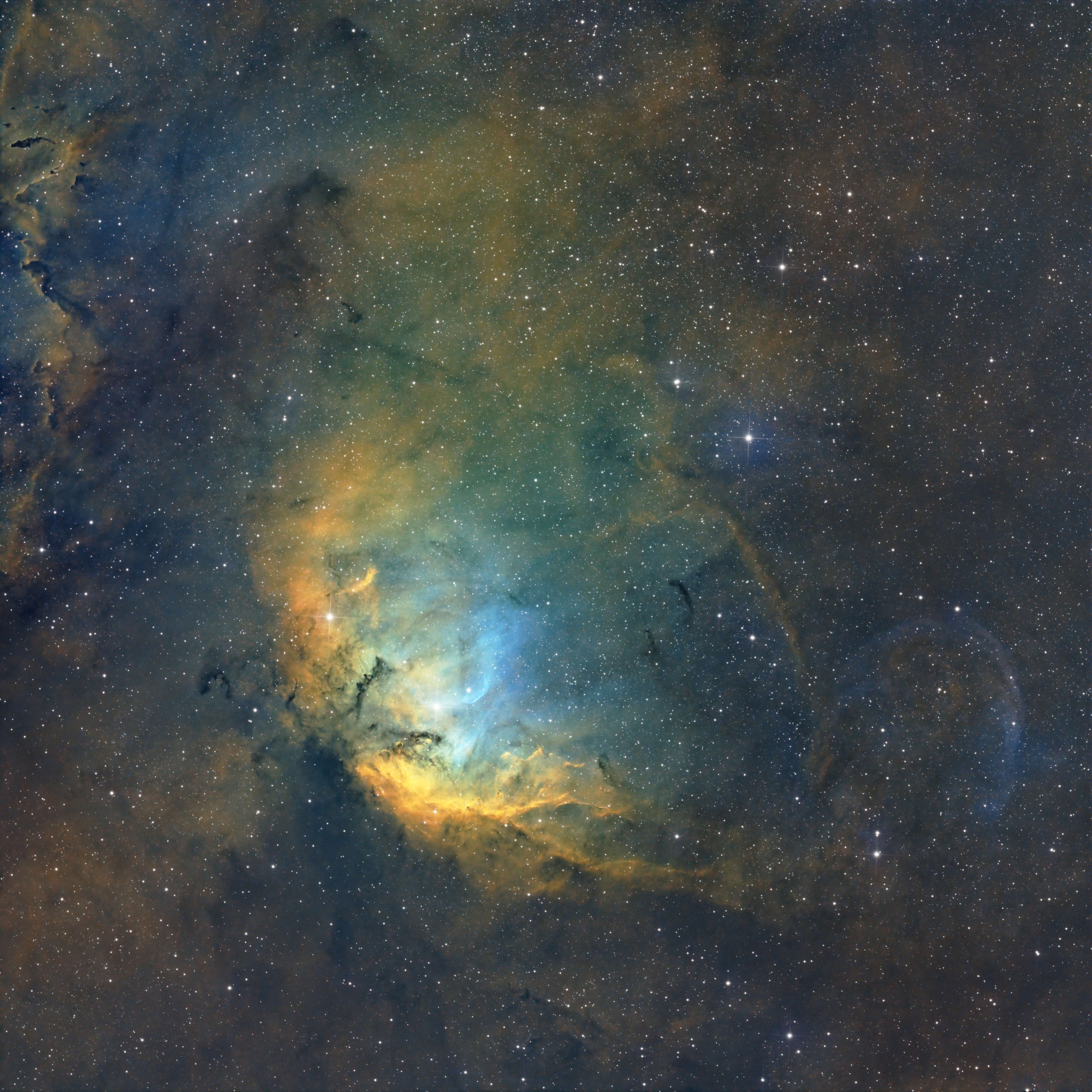 SH2-101_Tulip_SHO_V1_smalller.jpg