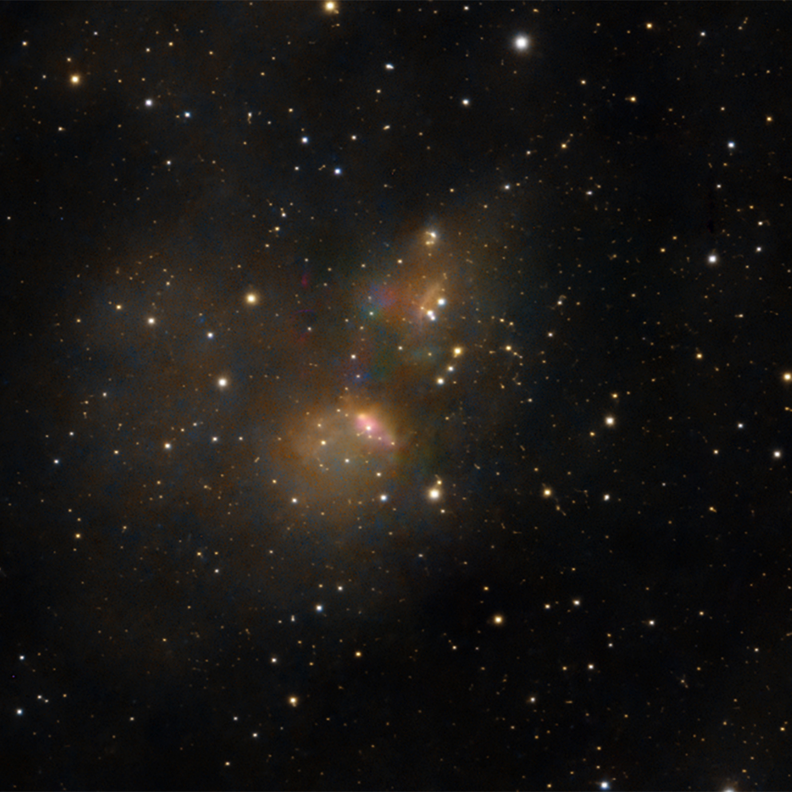 ic4955_2024-09-21_1.jpg