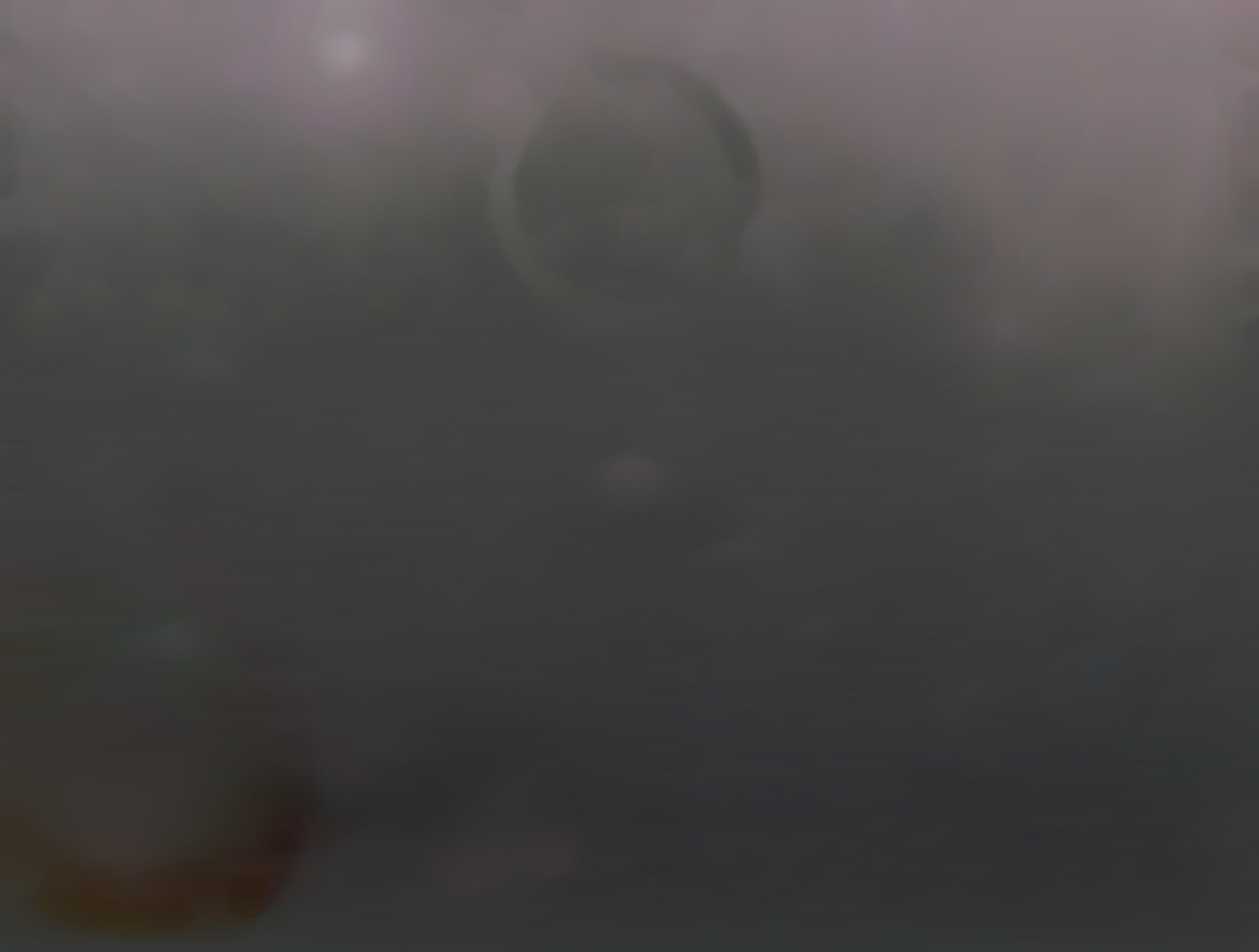 GC_gradient_model.jpg