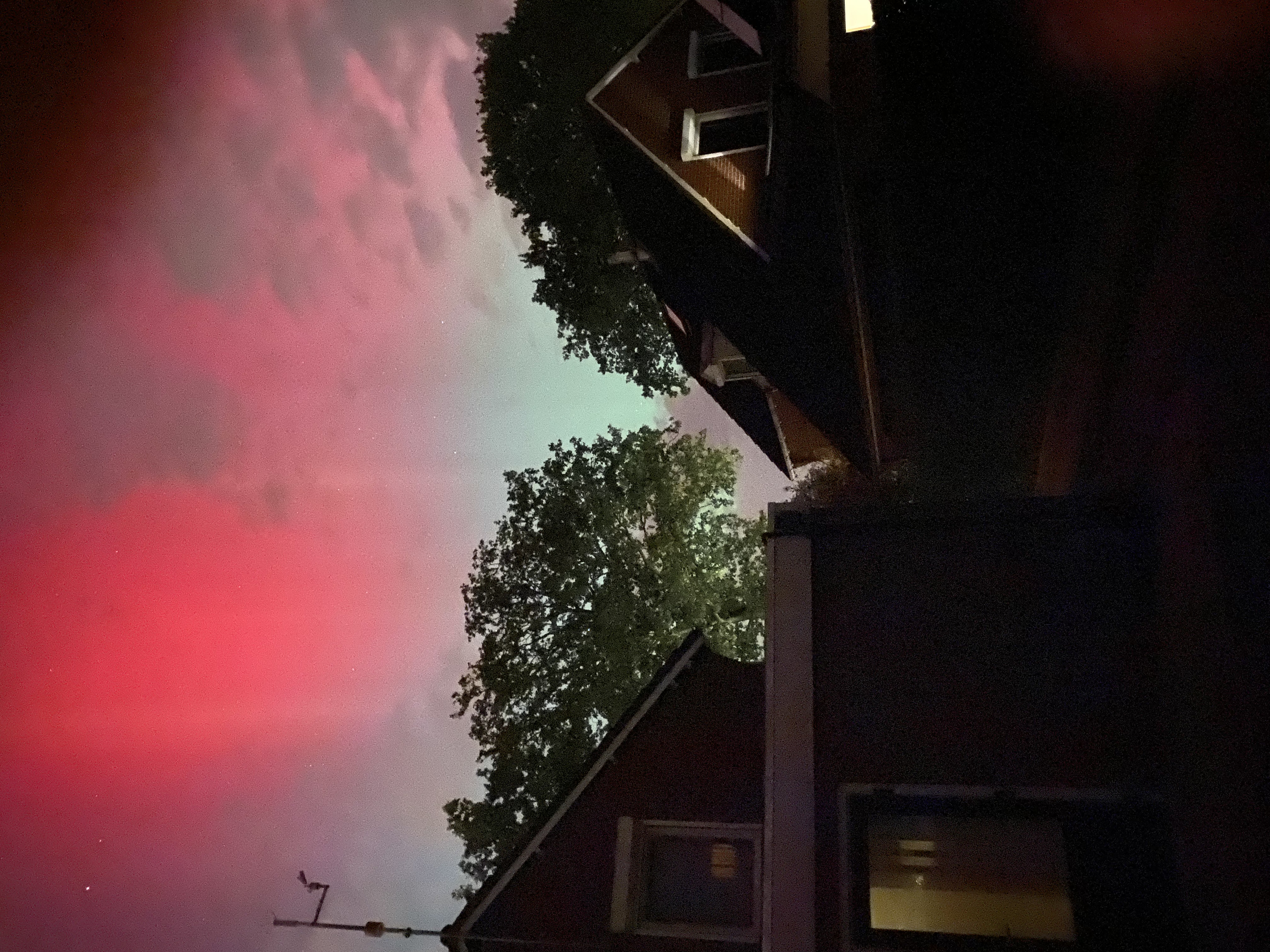 IMG_1537.jpeg