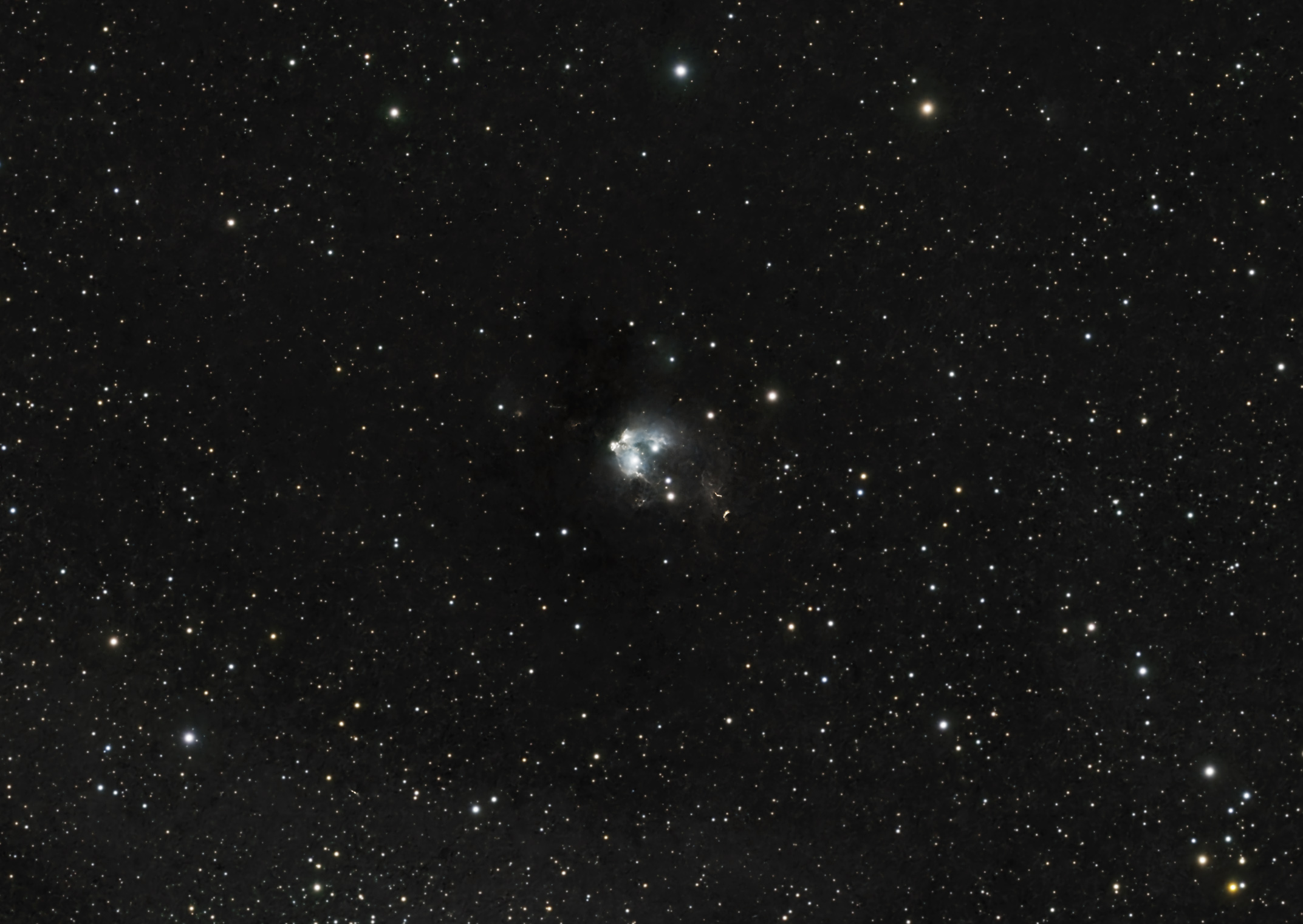 ic5134_2024-10-15_2.jpg