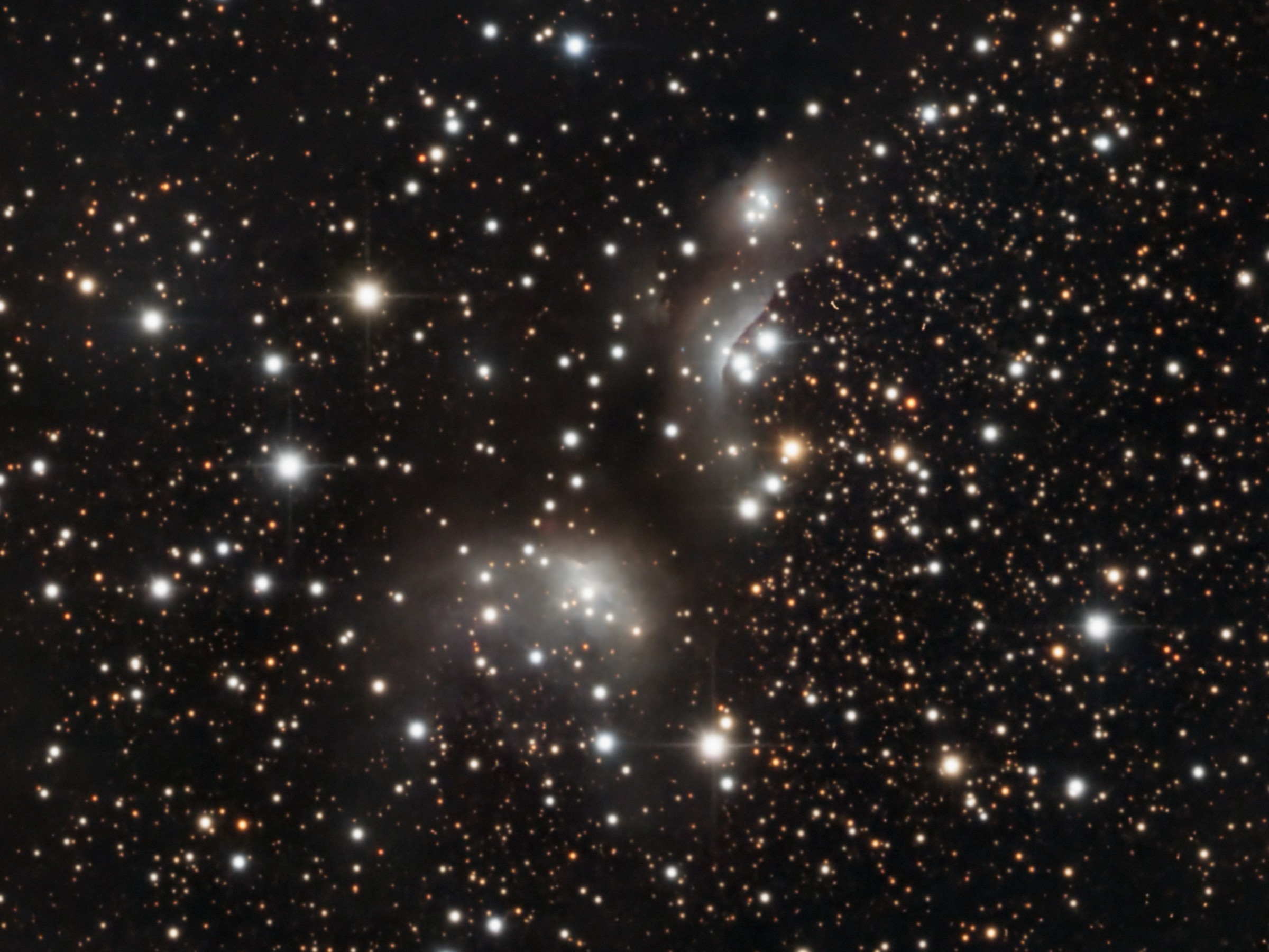 IC4955 - Image.jpg