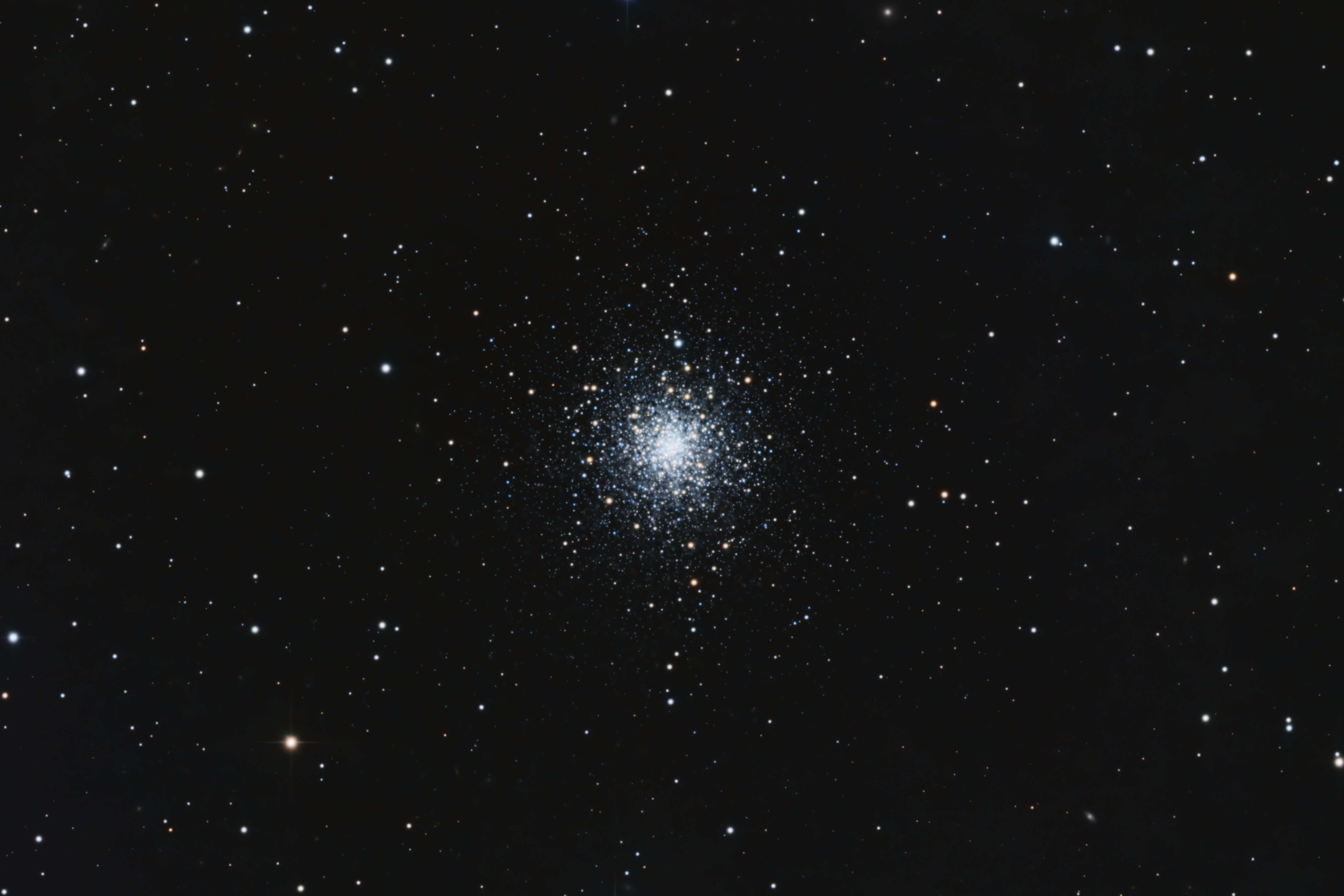 M79 - Image.jpg