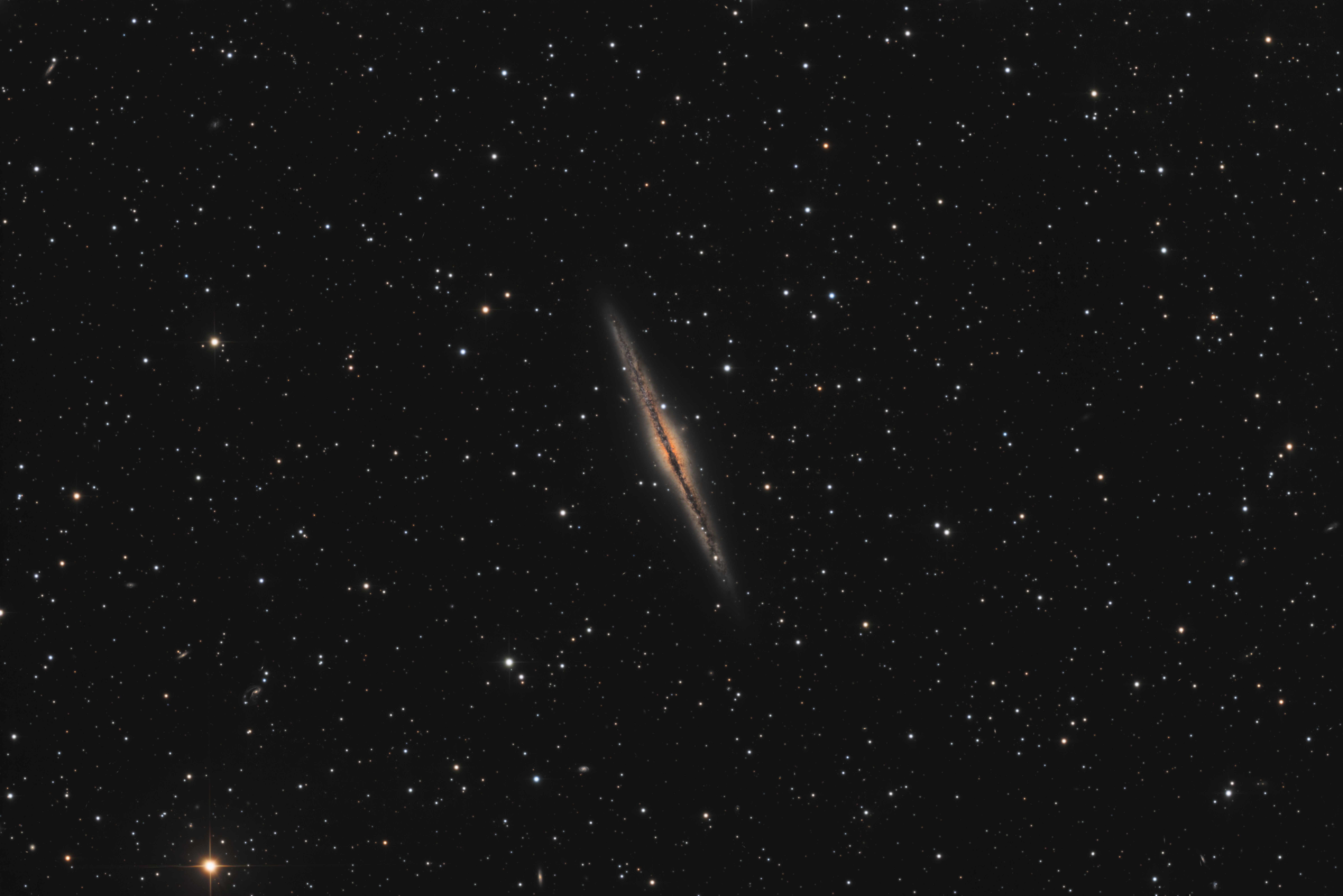 C23 - Image.jpg