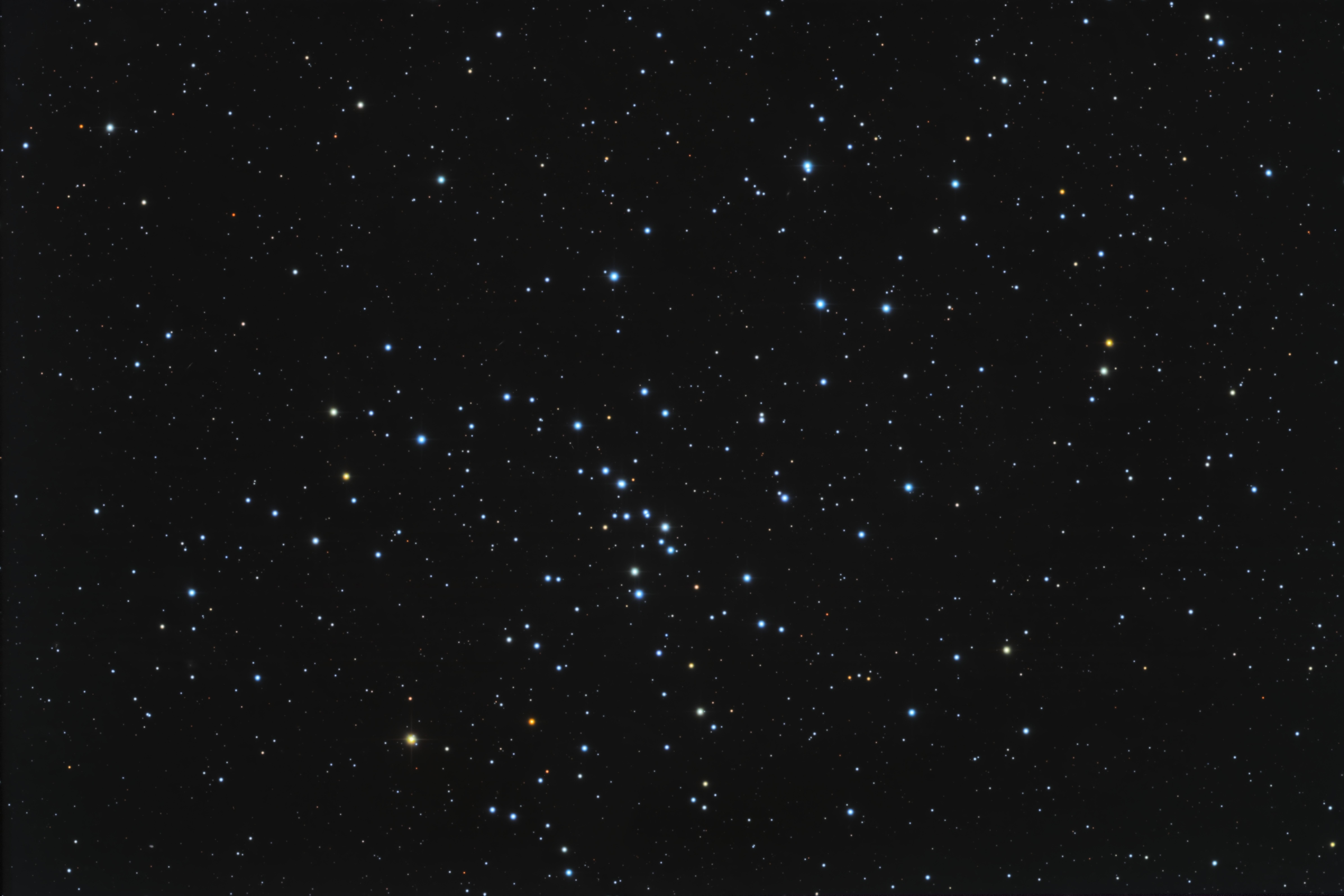 M48 - Image.jpg