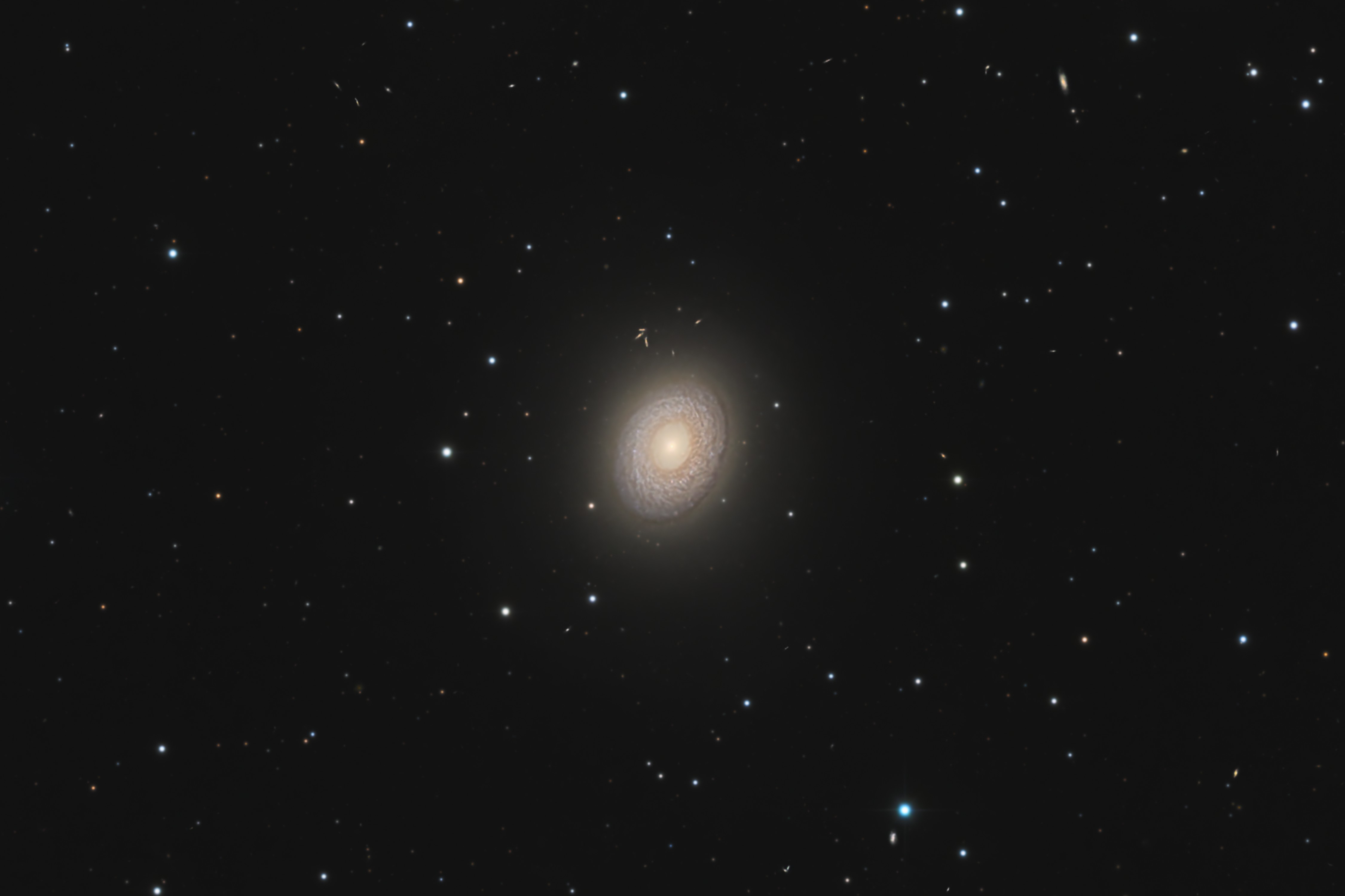C48 - Image.jpg