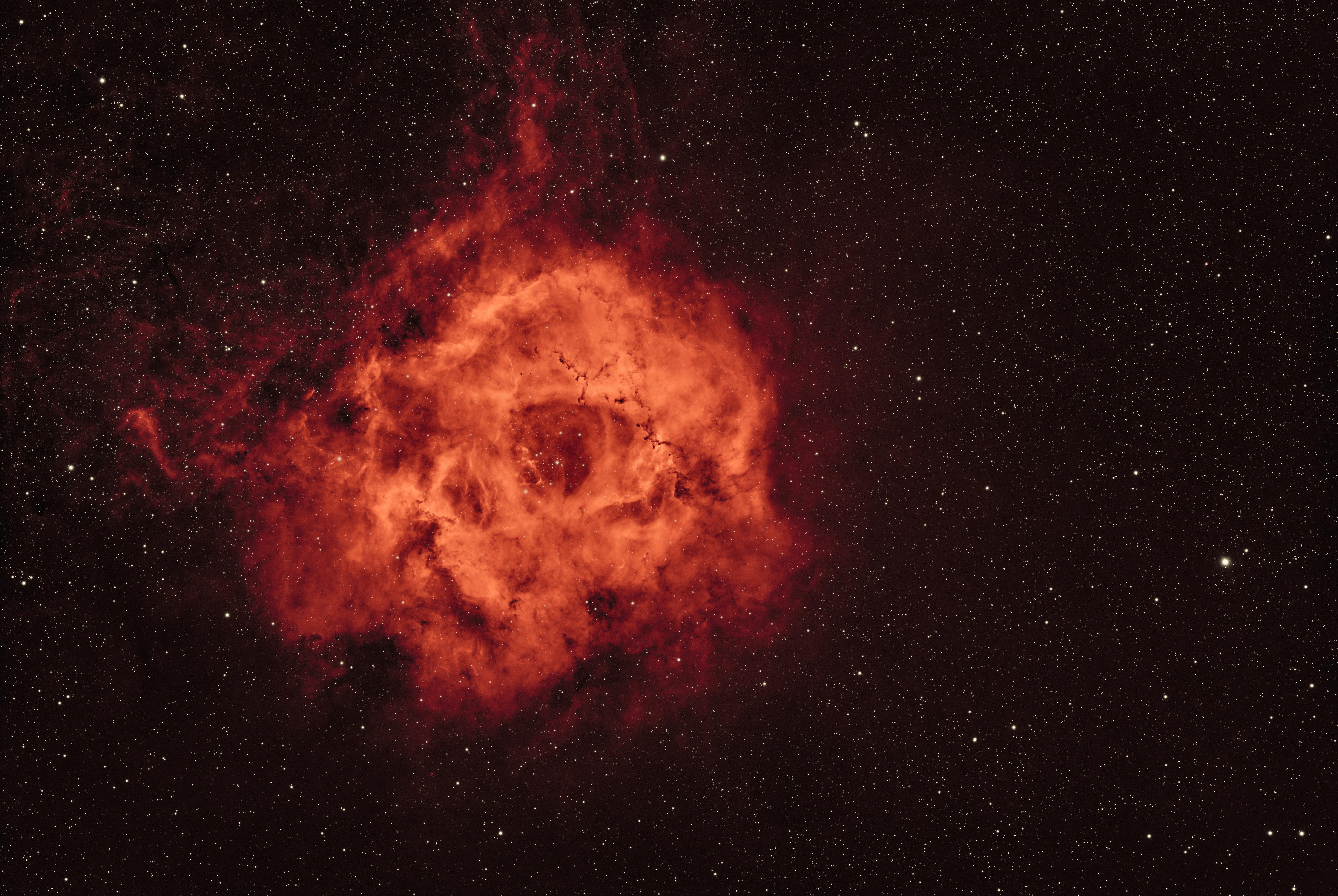 Rosette_Ha_25m-singleshot_reduced.jpg