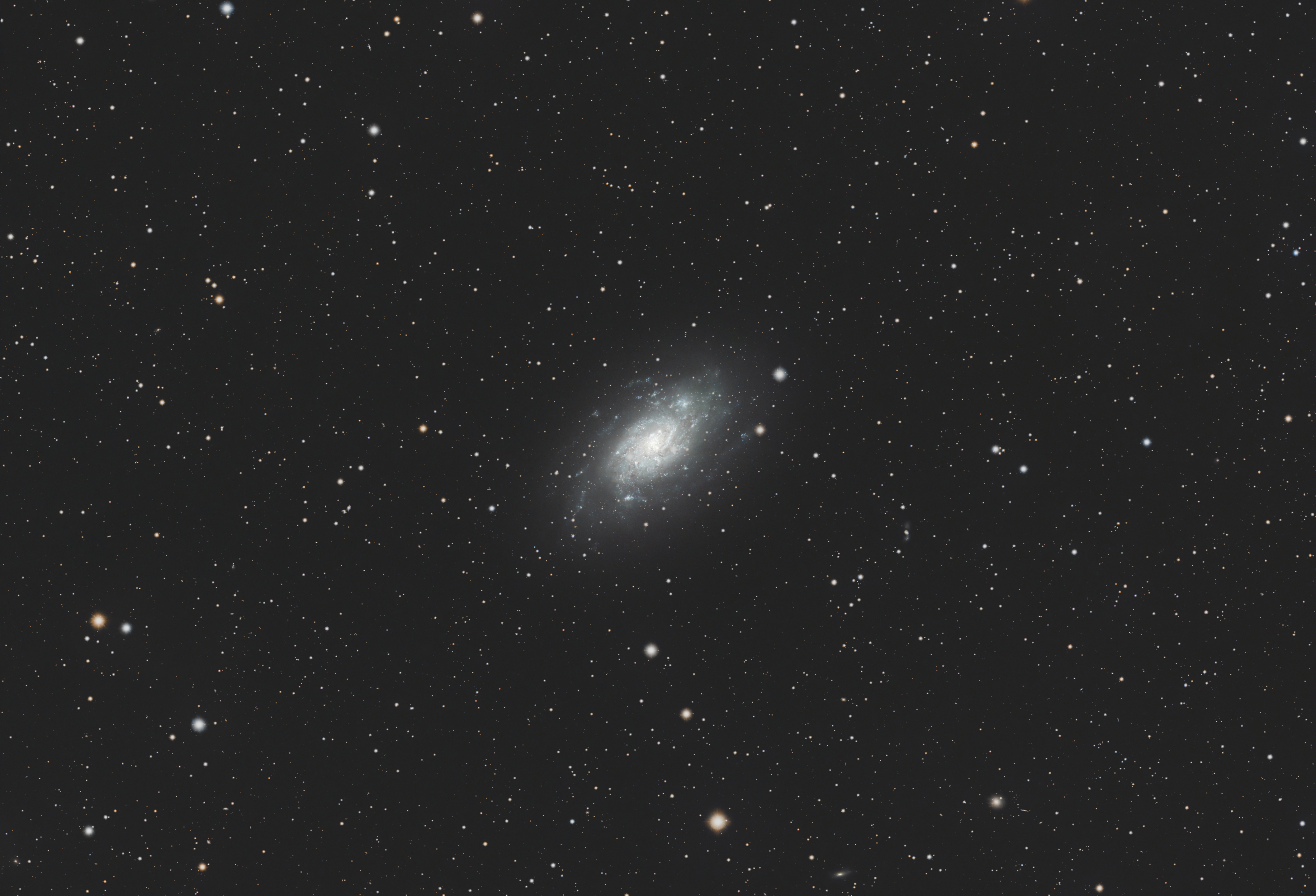 ngc2403_2025-02-19_1.jpg