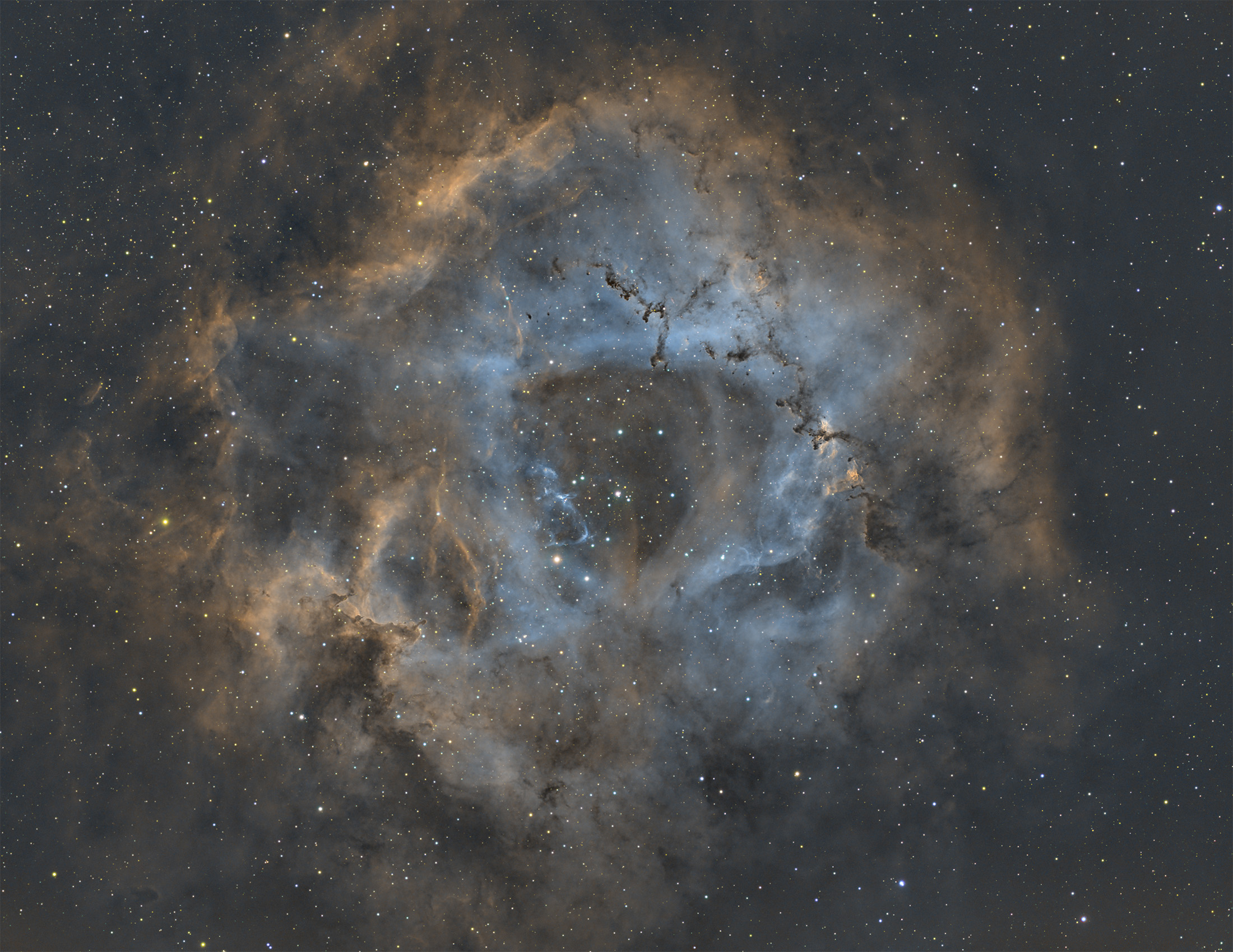 ngc2237_2025-03-09.jpg