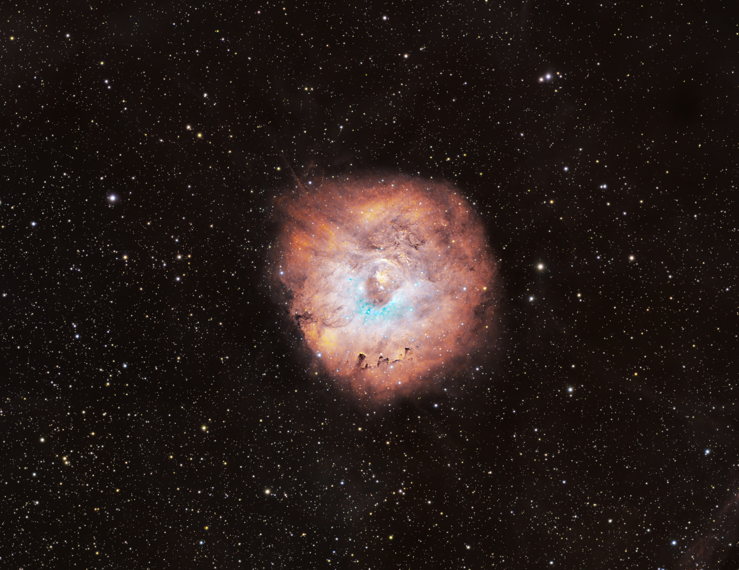 sh2-170_2025-03-19_2.jpg