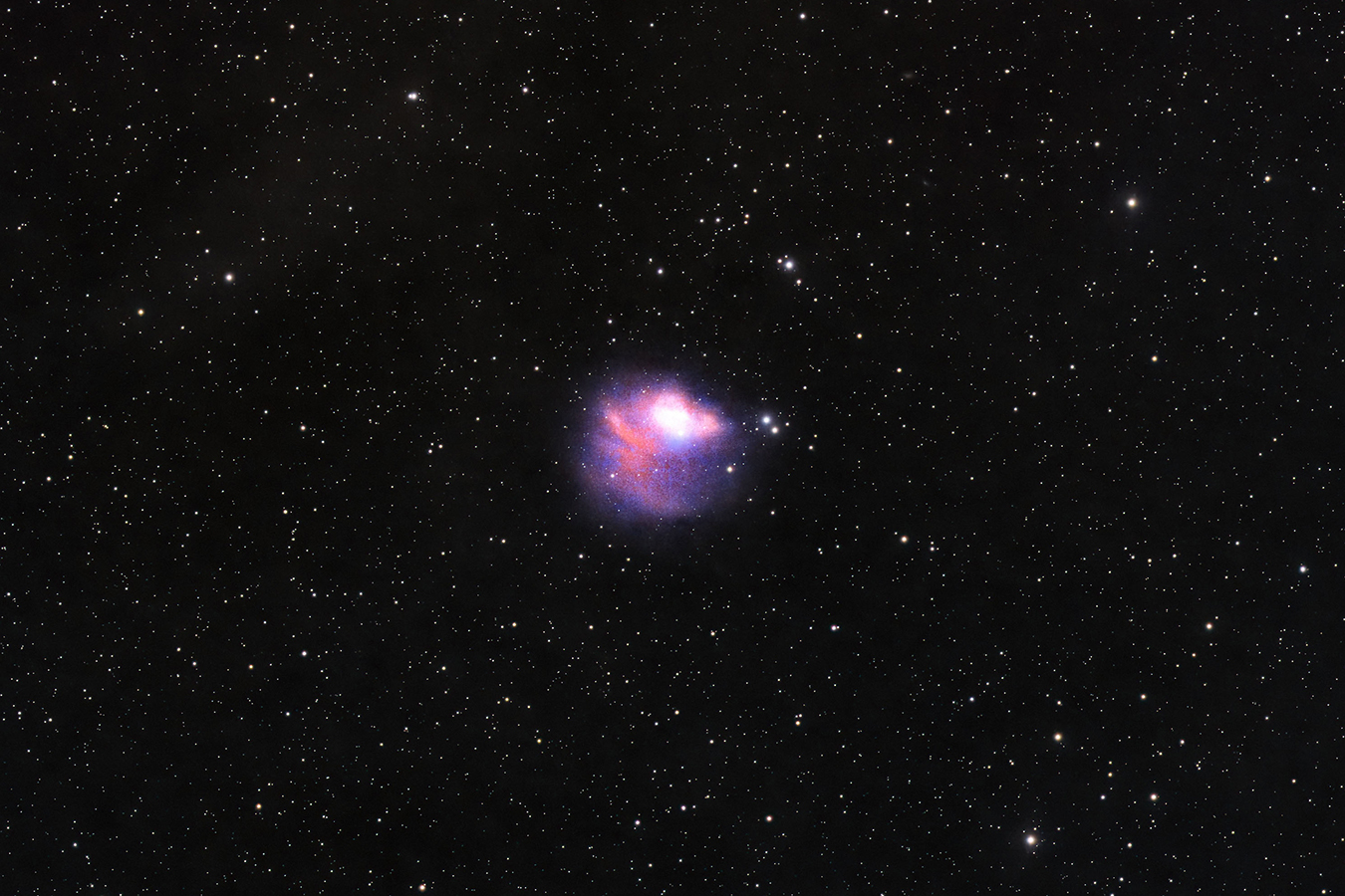sh2-130..jpg