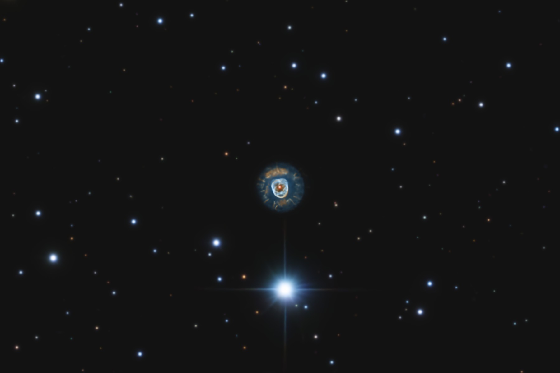 C39 - Image.jpg