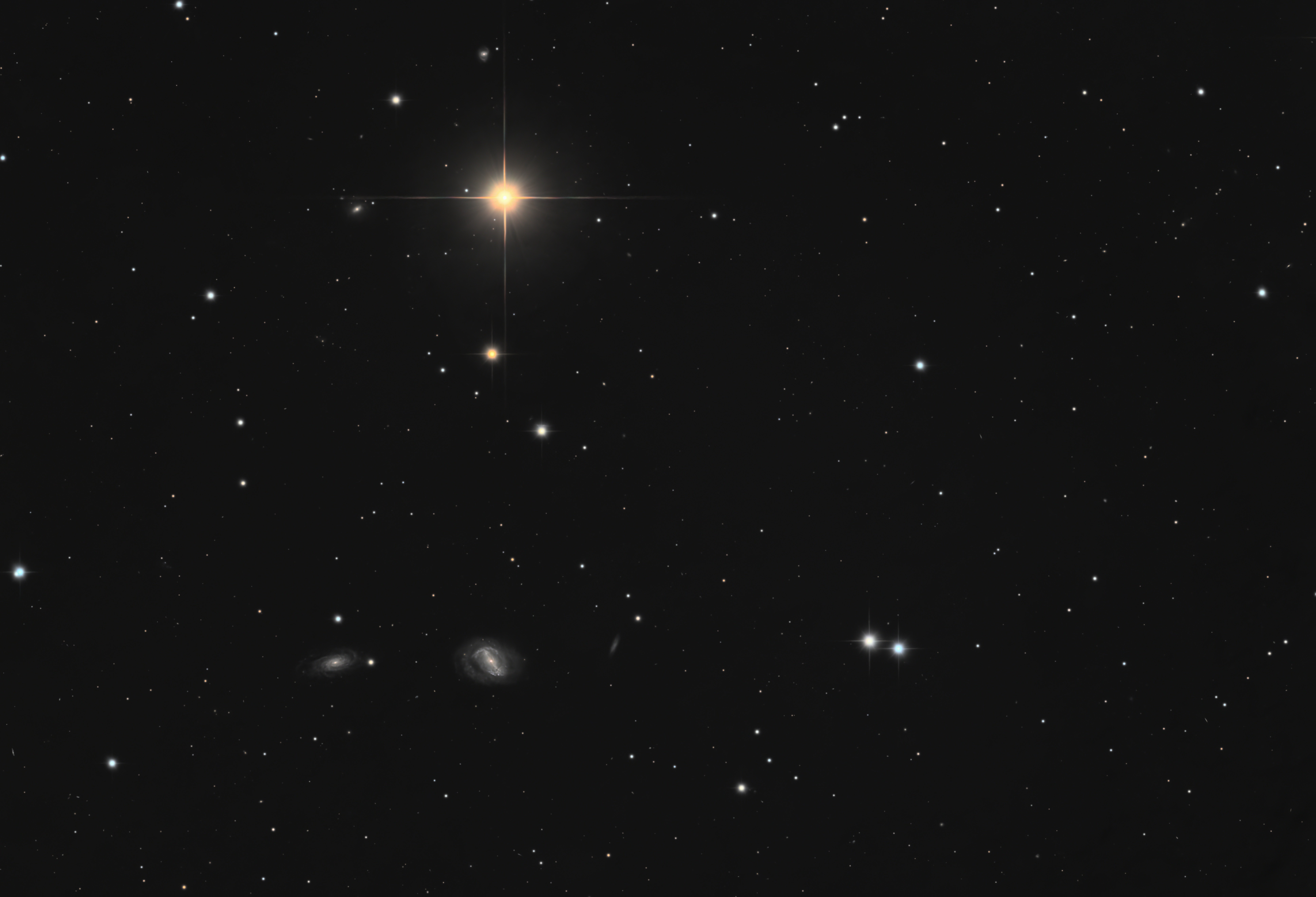 M40 - Image.jpg