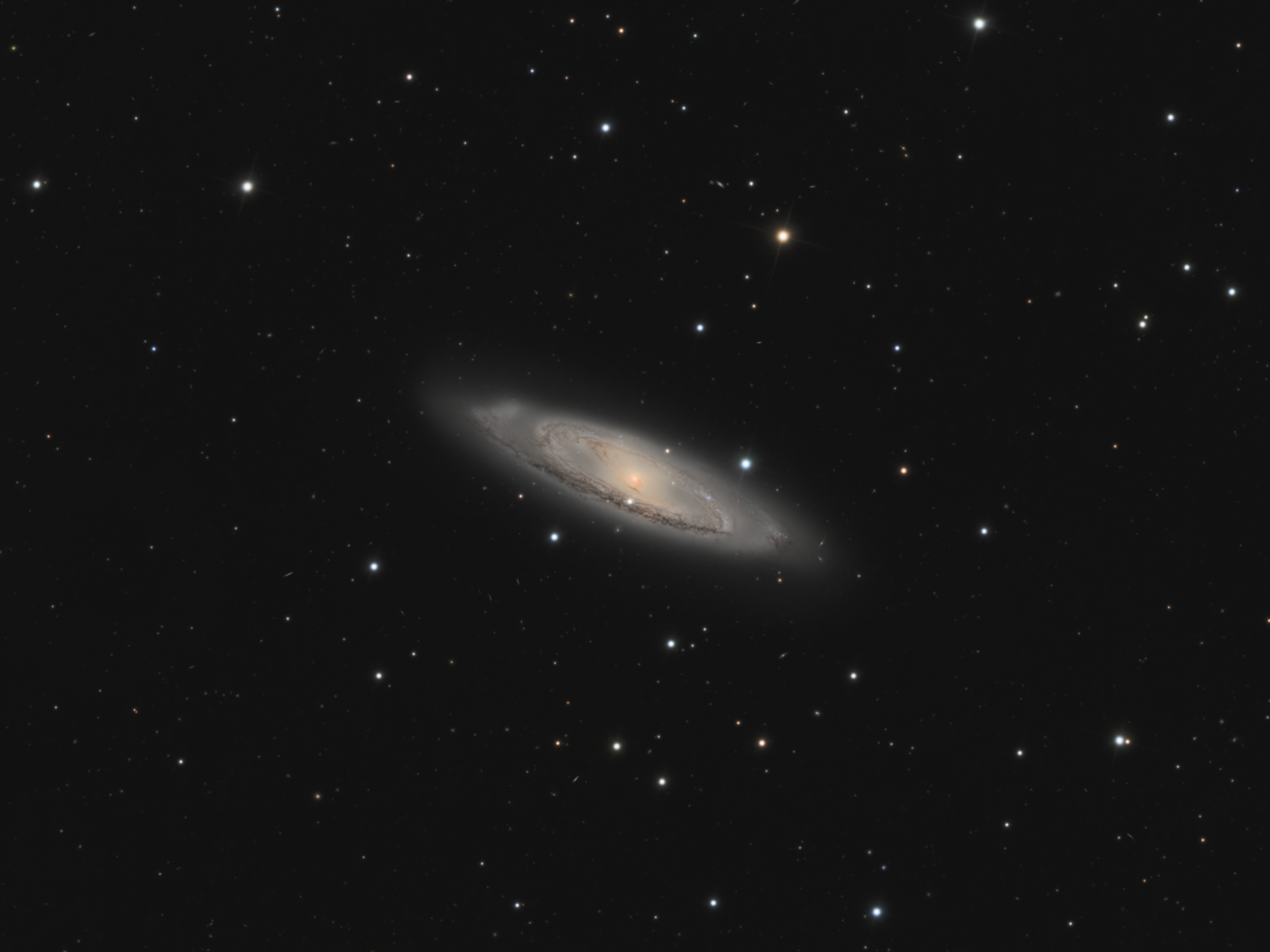 M65 - Image.jpg