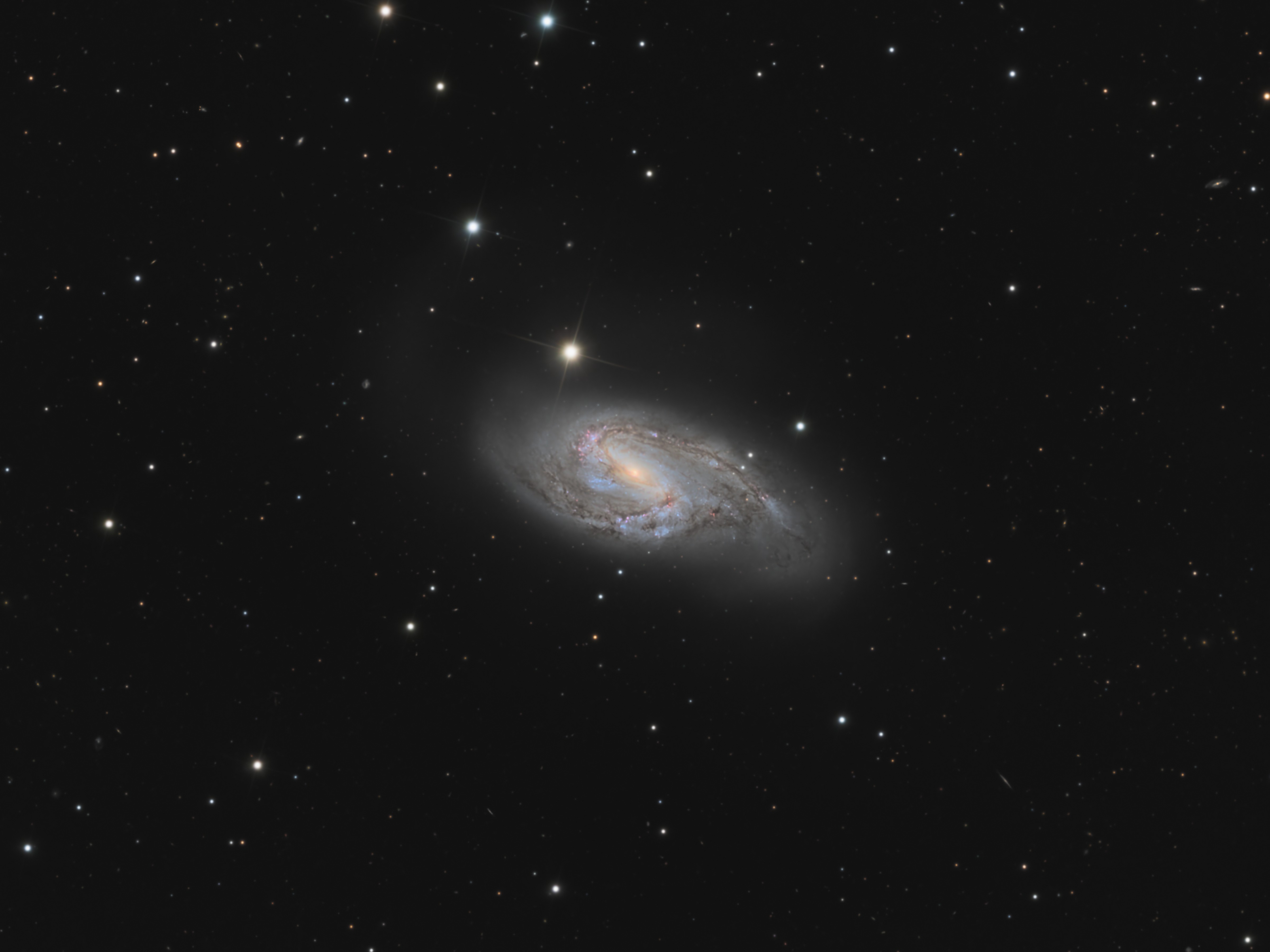 M66 - Image.jpg