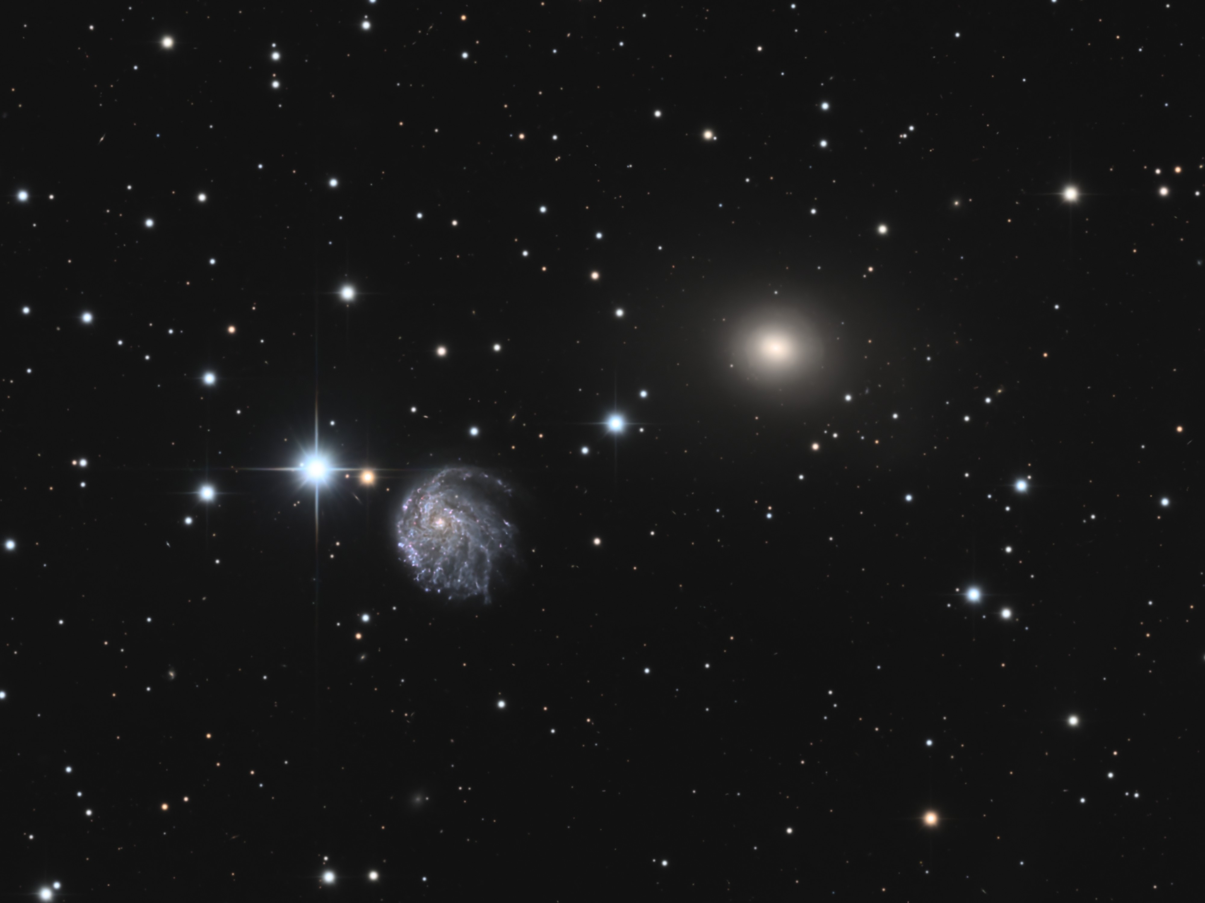 Arp24_114 - Image.jpg