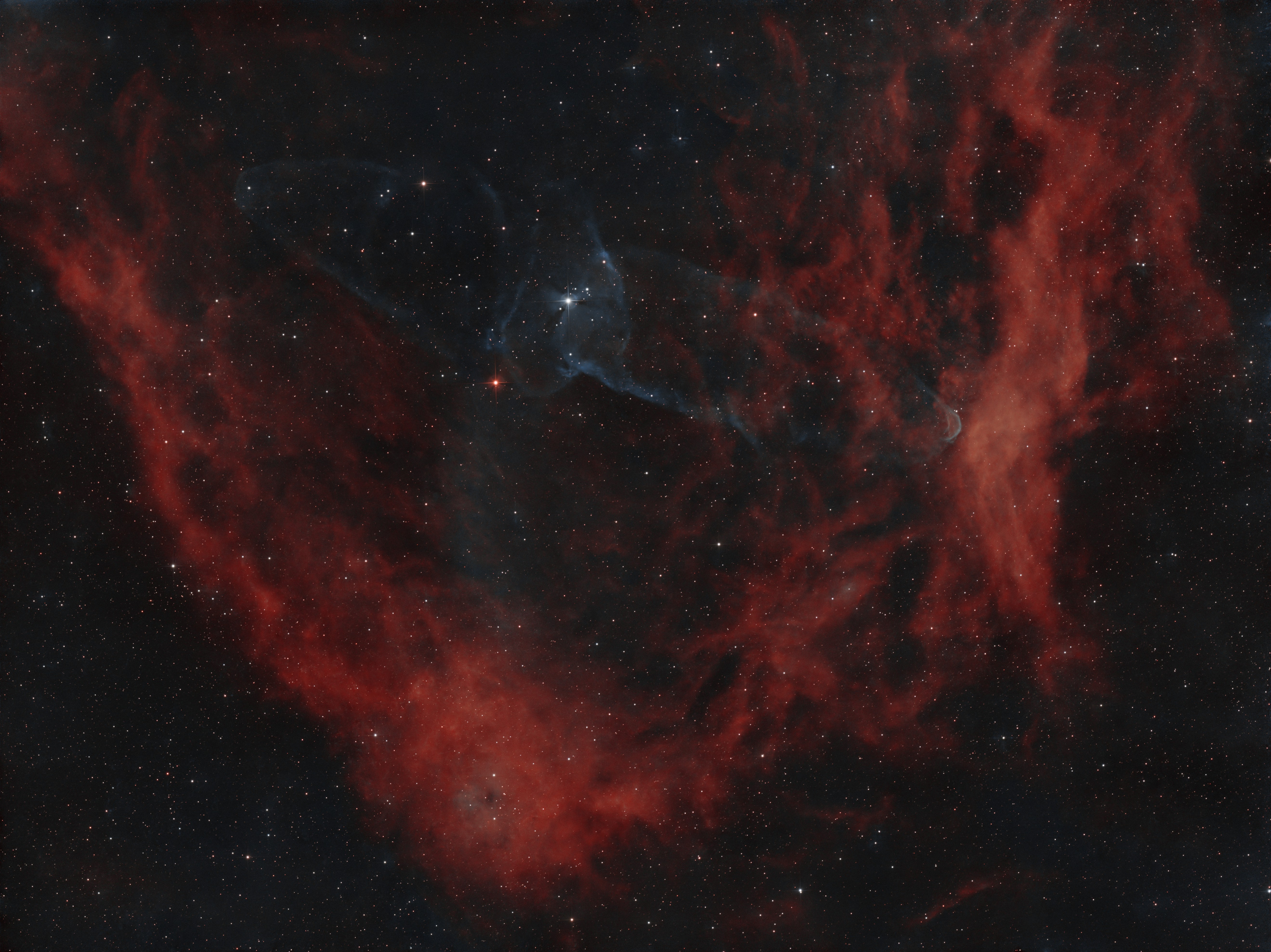 Sh2_129_OU4_29hr10min_GraXpert_SPCCdb_BXT_NXT_SXT_ExtrHaOiii_OiiiNXT_GHSHaOiii_SetiAstroPerfectPalletePickerForax_SCNR_SetiAstroStarStretch_ScreenStars90.jpg
