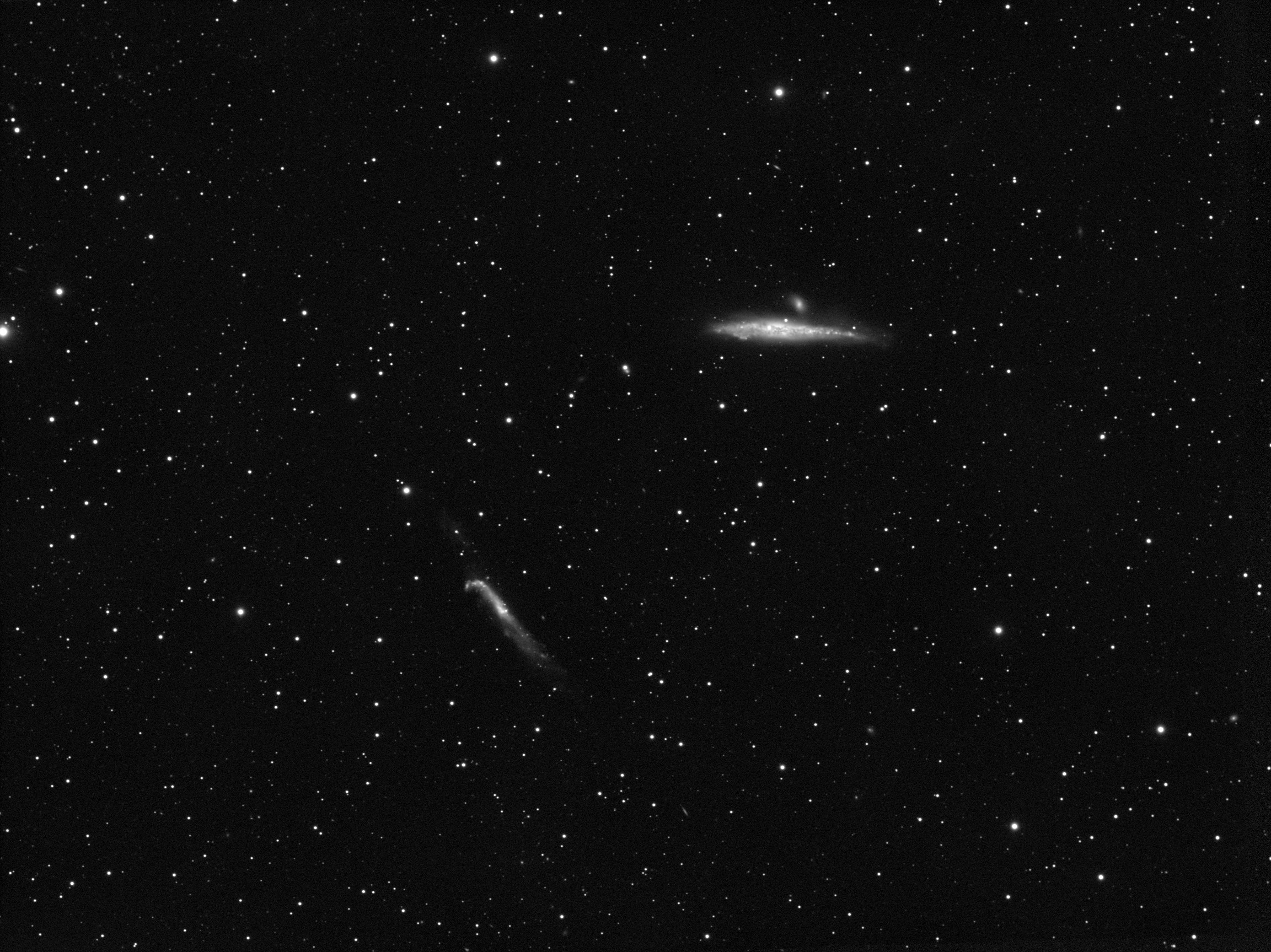 NGC4631,NGC4656, 2020-04-22, 73x200L , APO100Q, ZWO ASI1600MM-Cool.jpg
