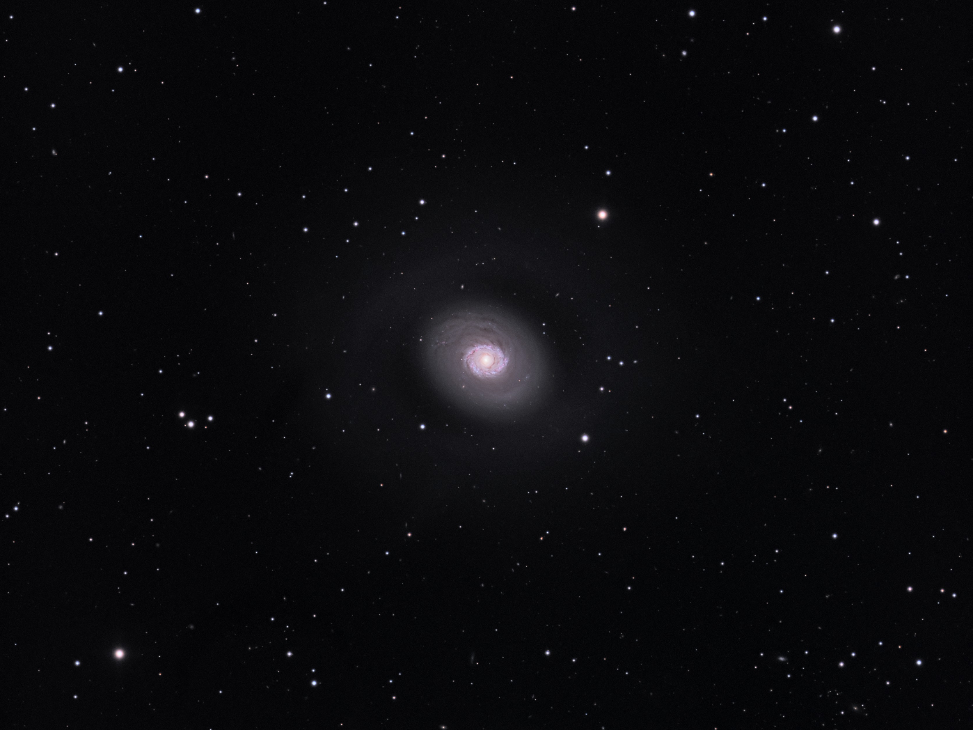 M94.jpg