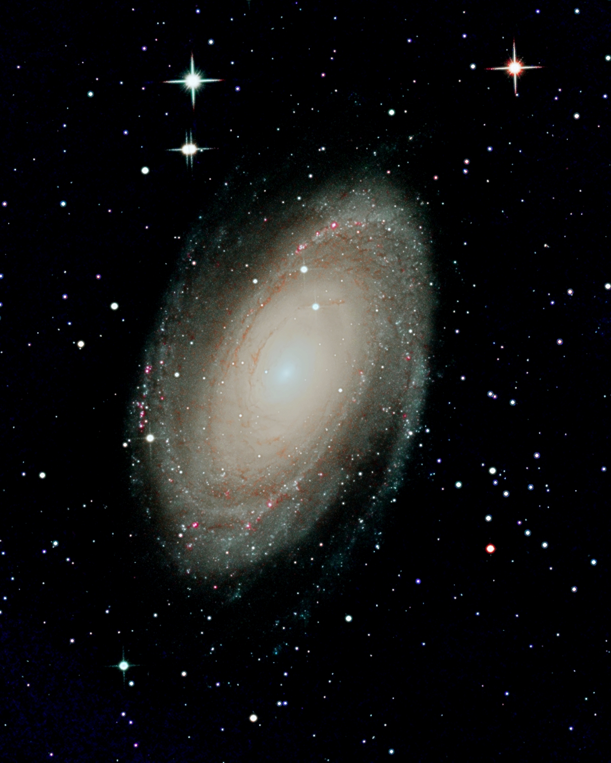 M81QHY294C_clone.jpg